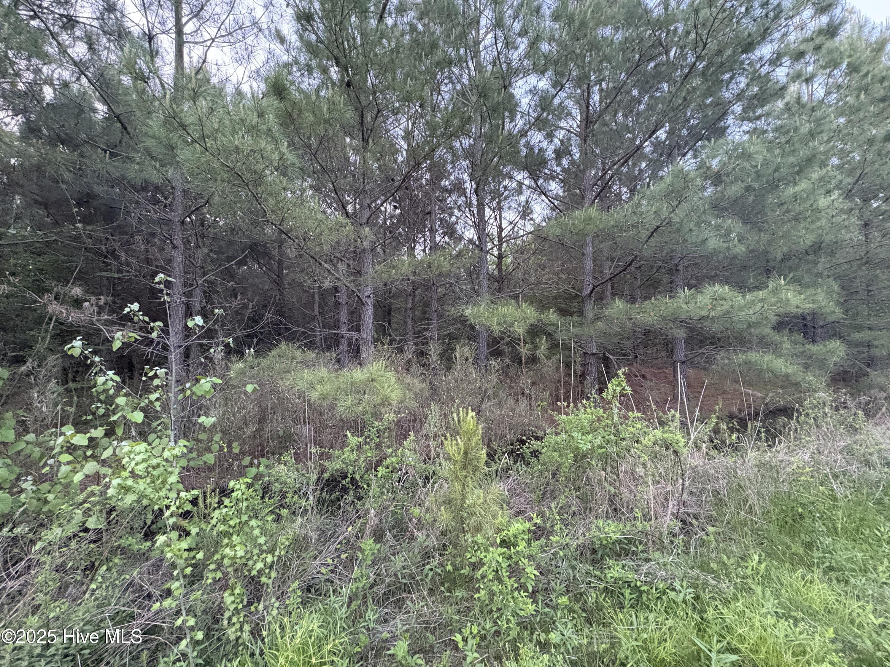 Off Speights Chapel Road Property Photo 53