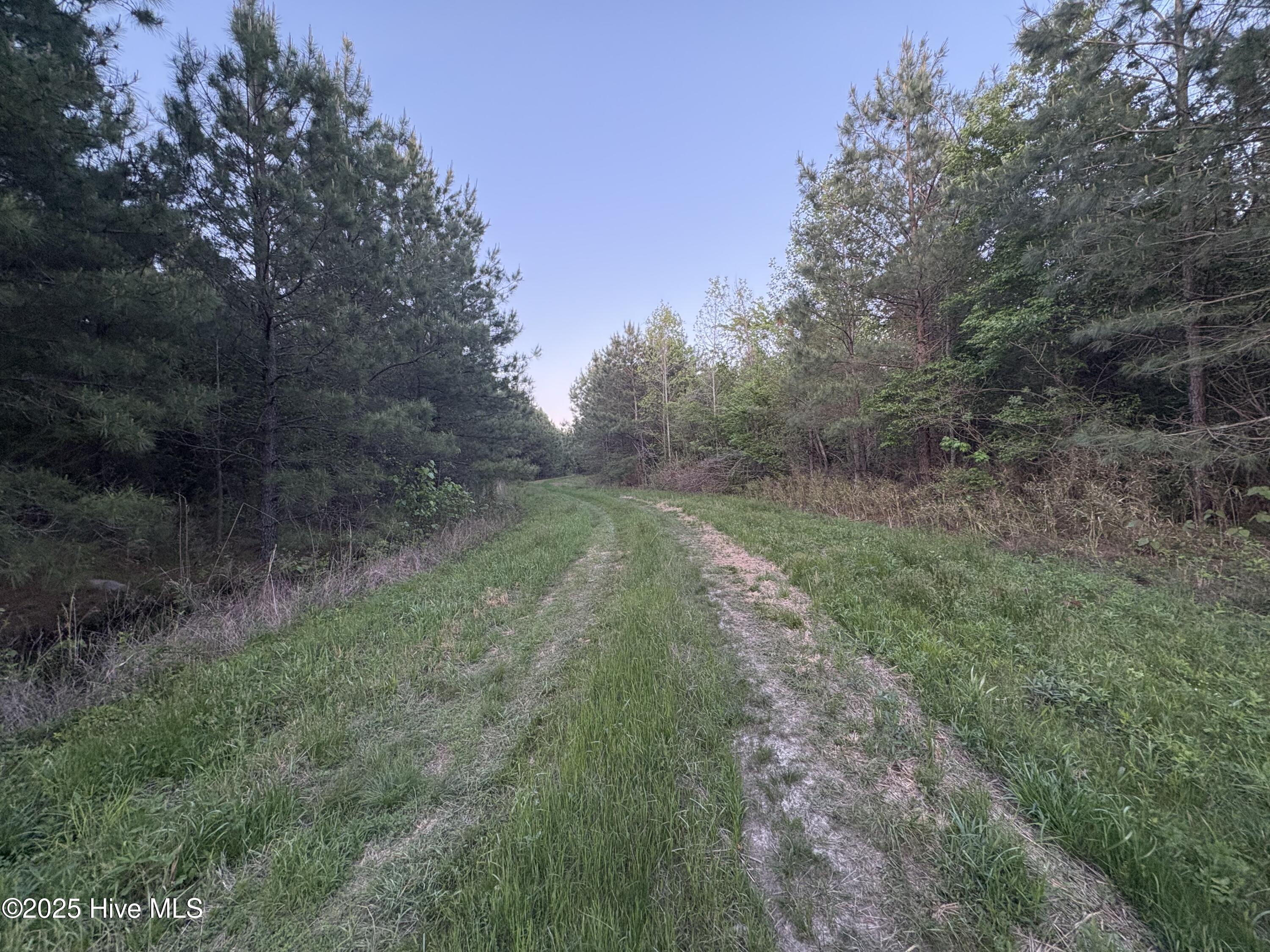 Off Speights Chapel Road Property Photo 54