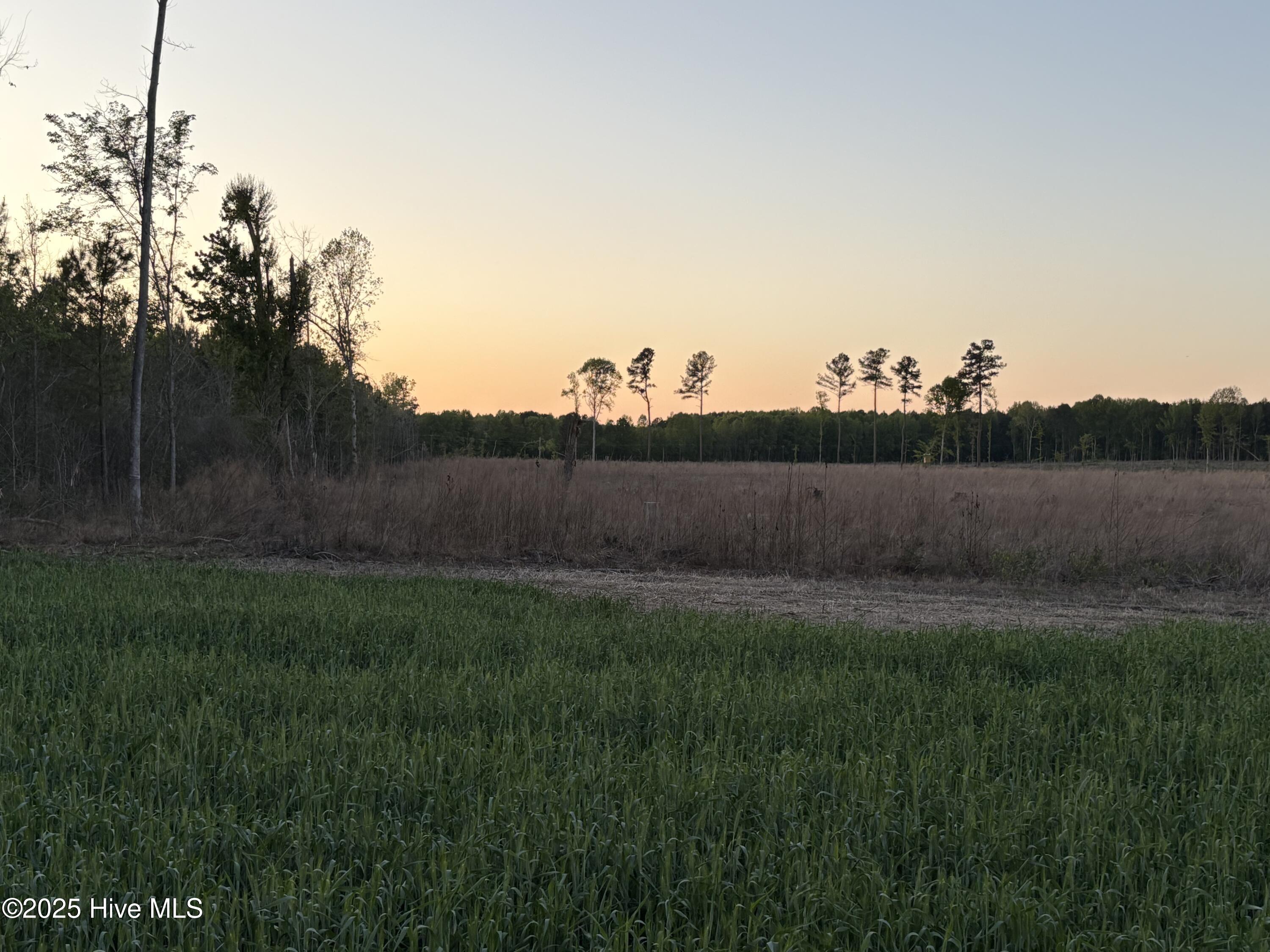 Off Speights Chapel Road Property Photo 55