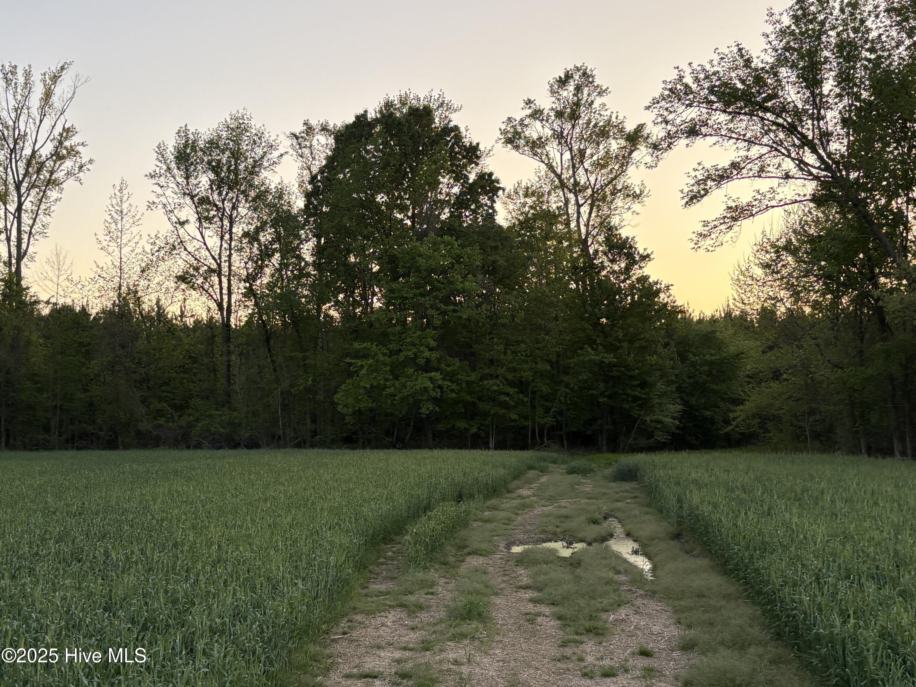 Off Speights Chapel Road Property Photo 56