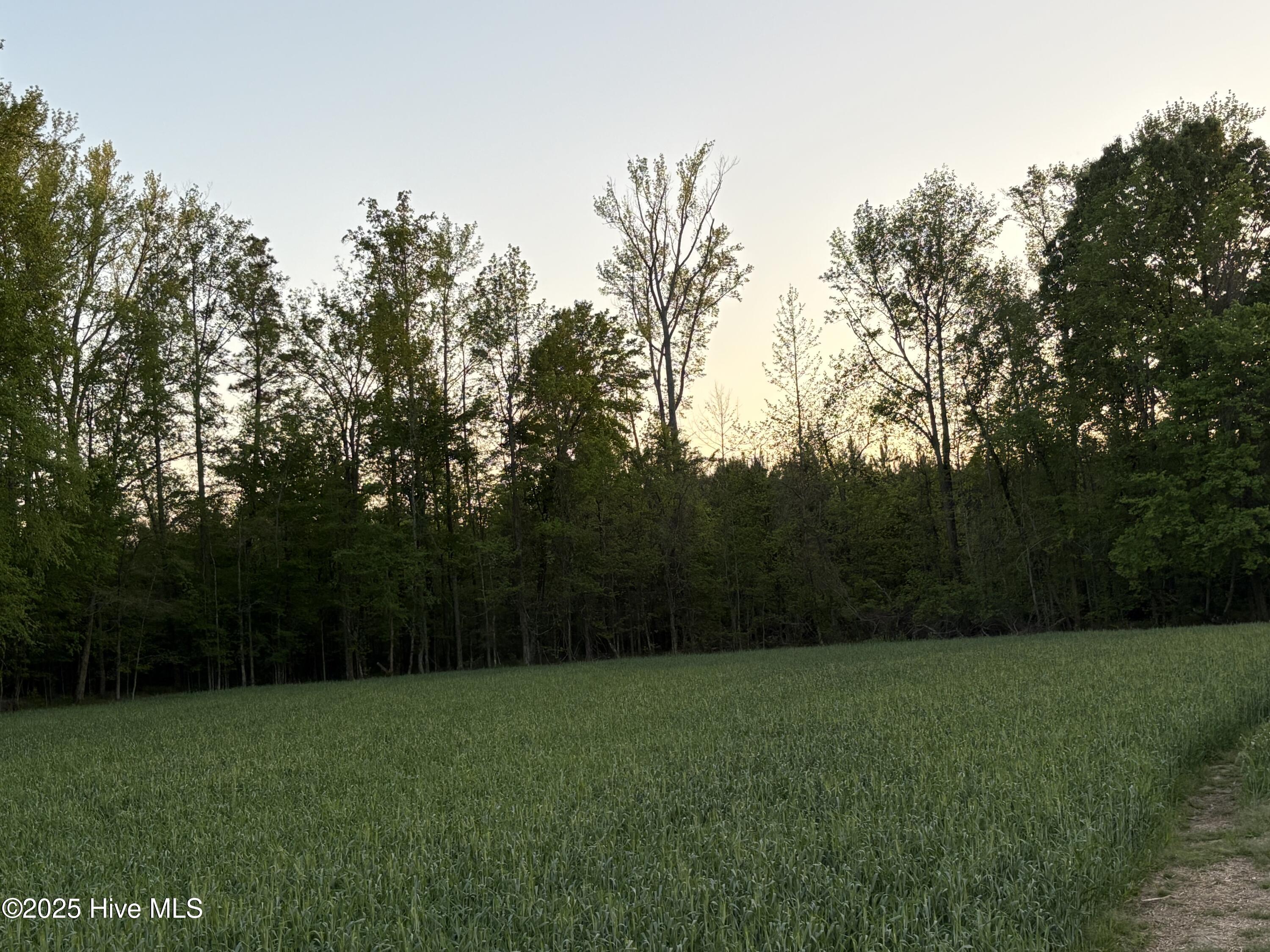 Off Speights Chapel Road Property Photo 57