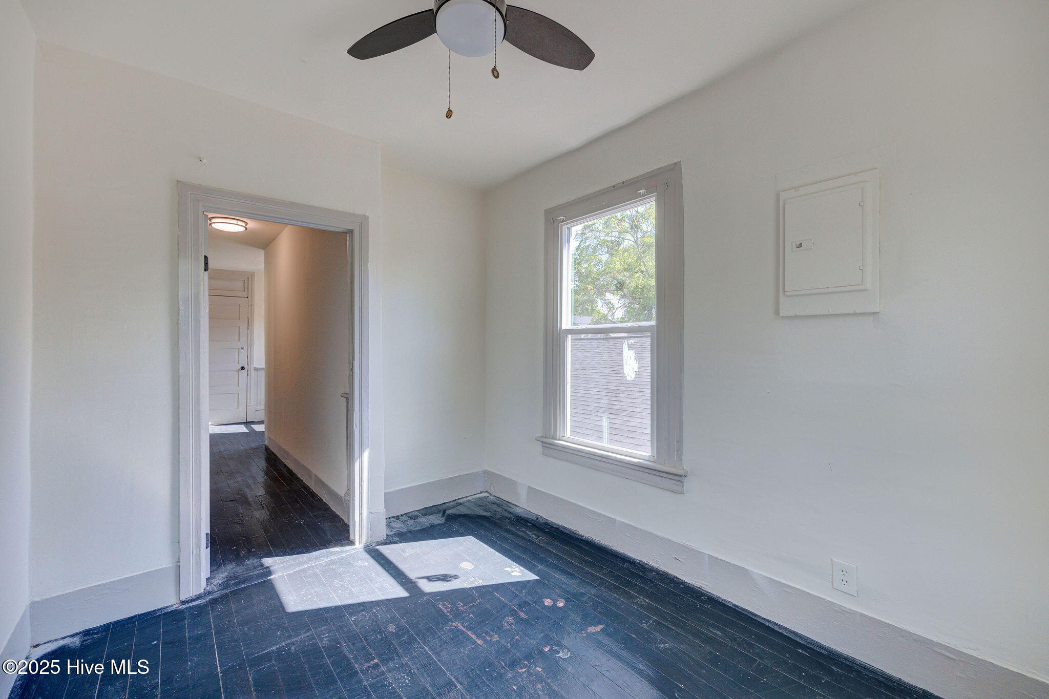 317 Wright Street Property Photo 36