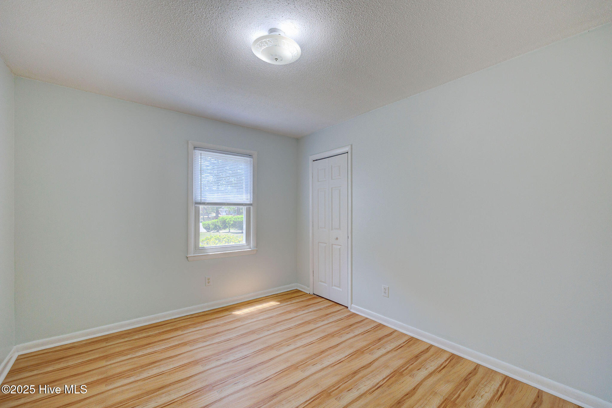 4509 Dullage Drive Property Photo 22