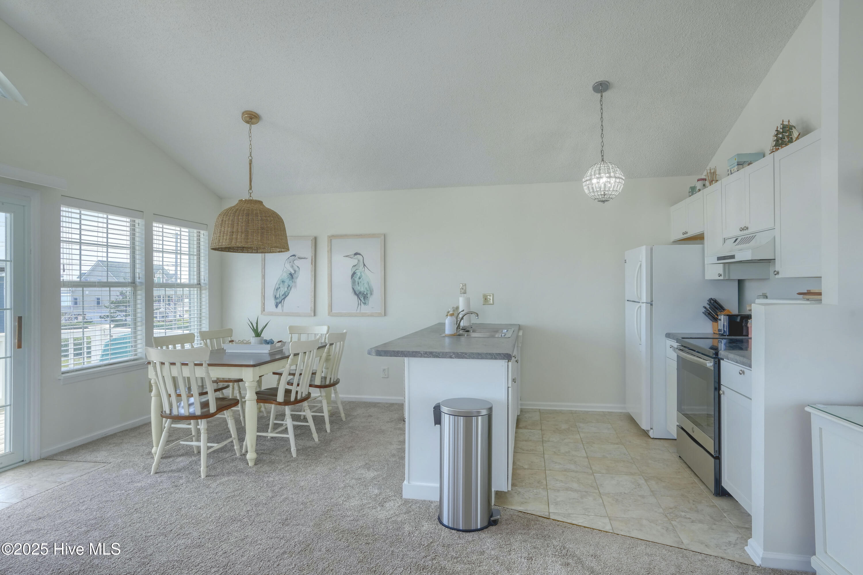 101 Heron Cay Court Property Photo 16