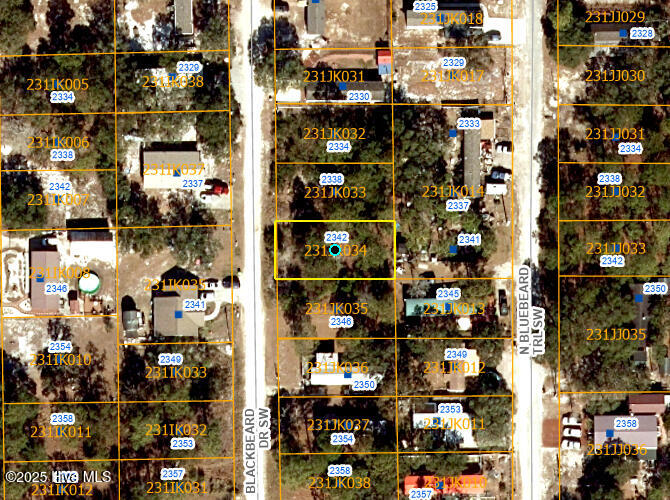 2342 Blackbeard Drive Property Photo 1