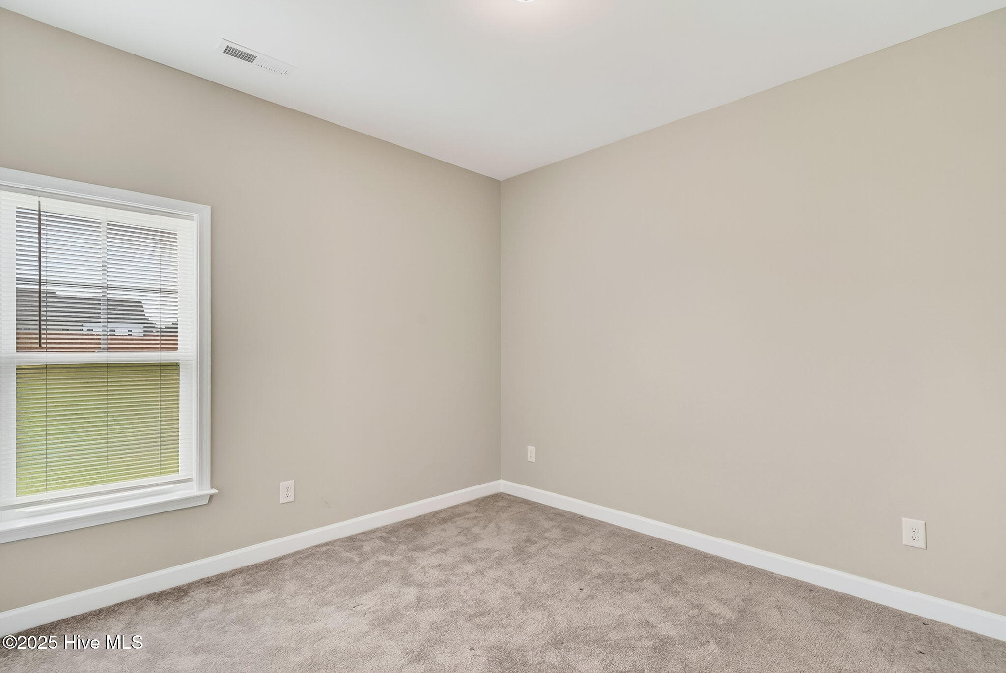 203 Fynloch Chase Drive Property Photo 28