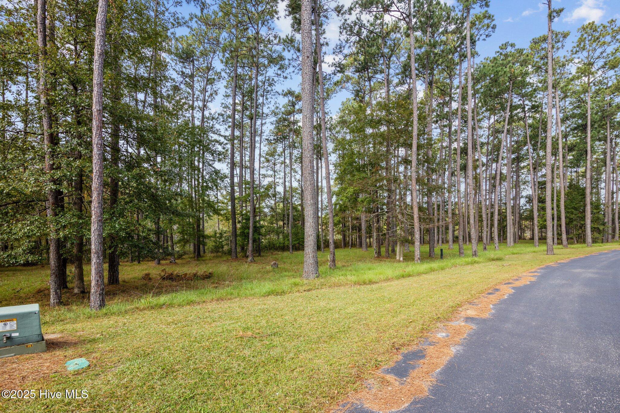 87 114 Broadview Point Property Photo 17