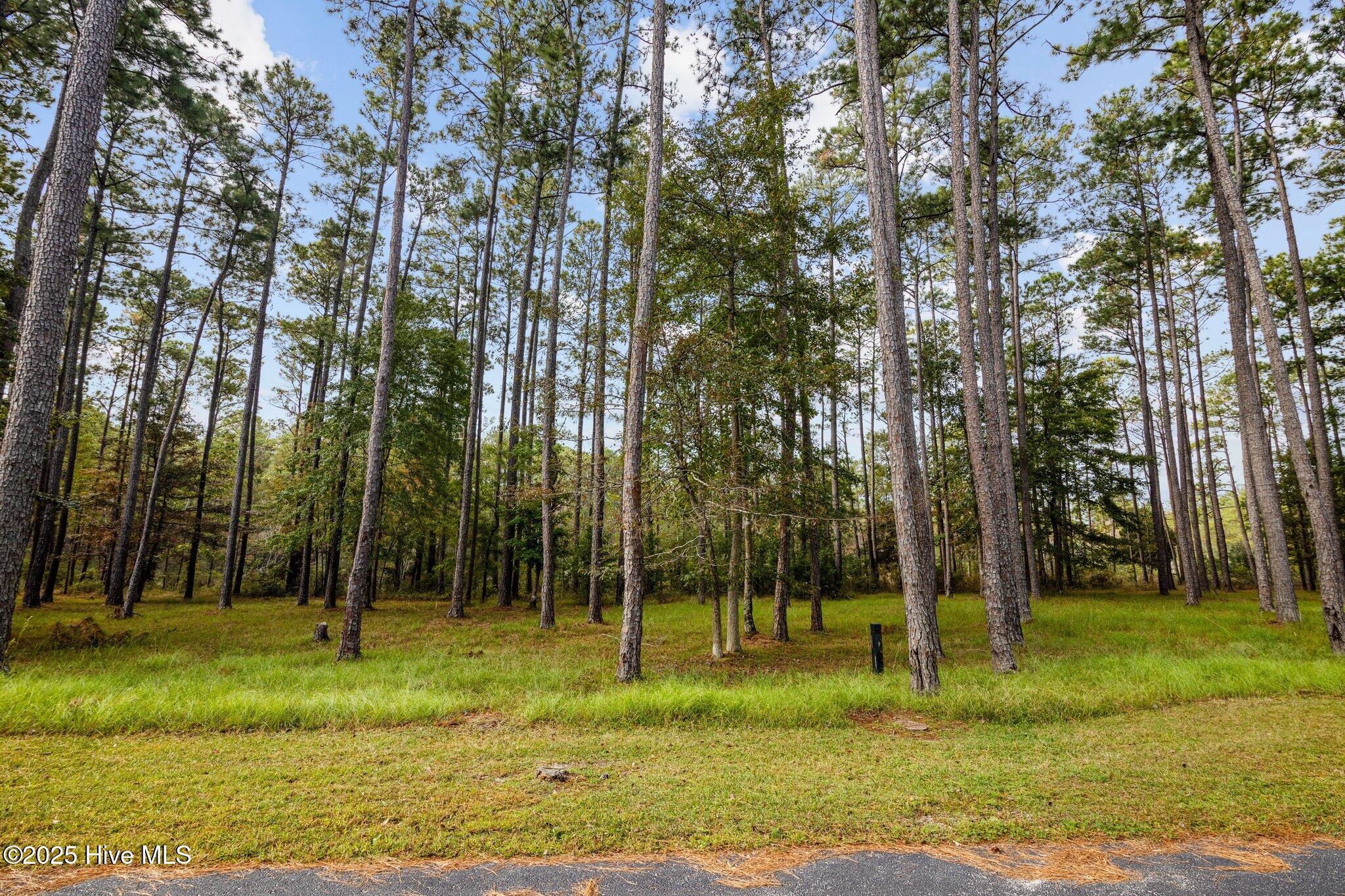 87 114 Broadview Point Property Photo 18