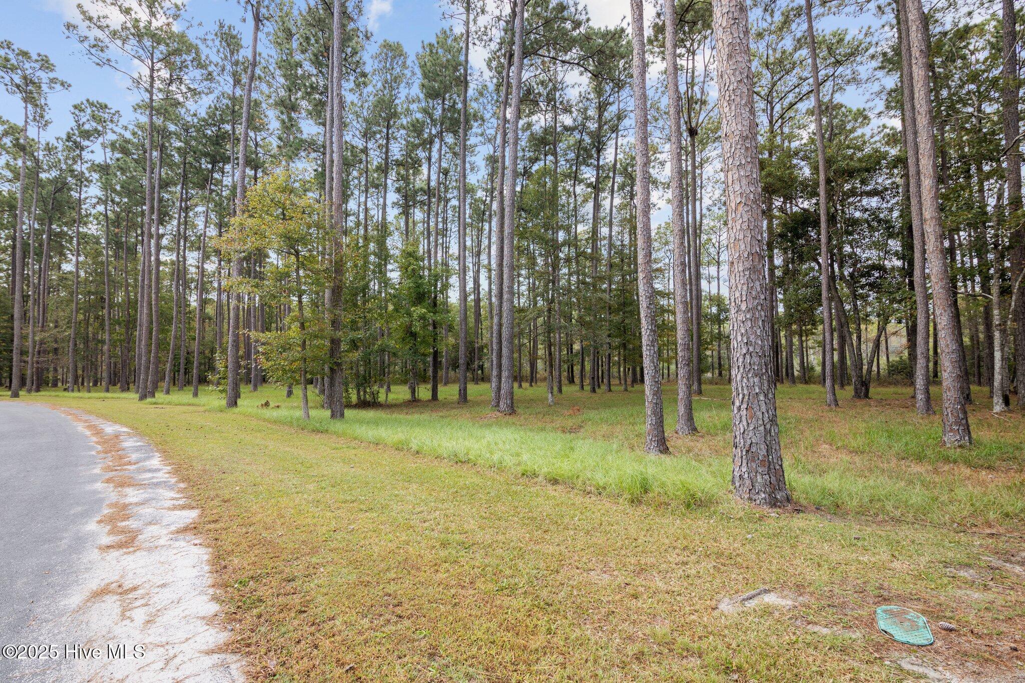 87 114 Broadview Point Property Photo 20