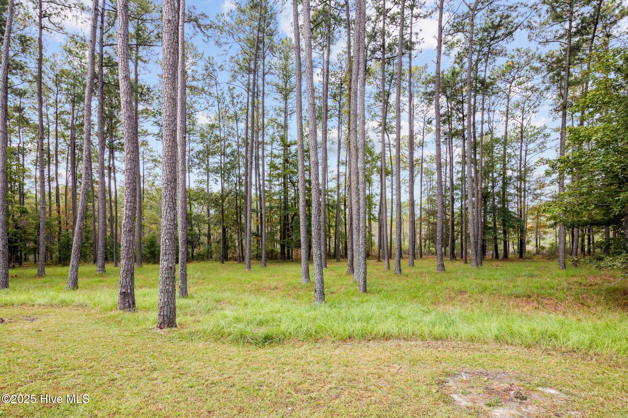 87 114 Broadview Point Property Photo 21