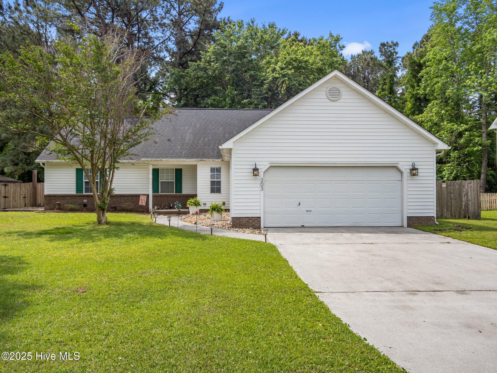 303 Ashley Meadow Lane Property Photo