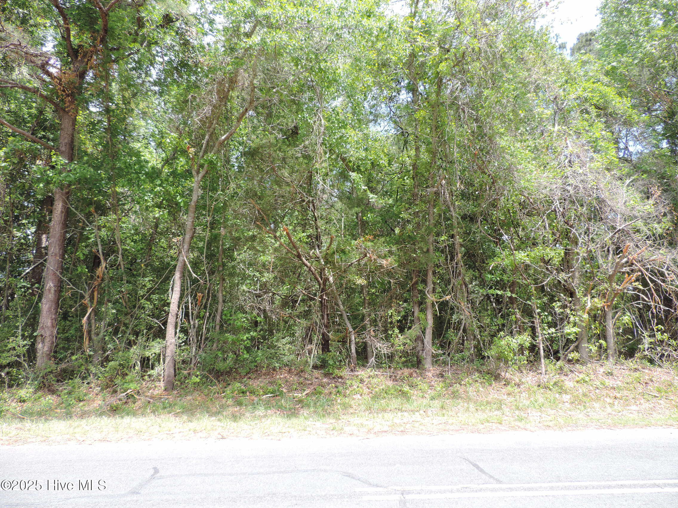 290 Perrytown Loop Road Property Photo