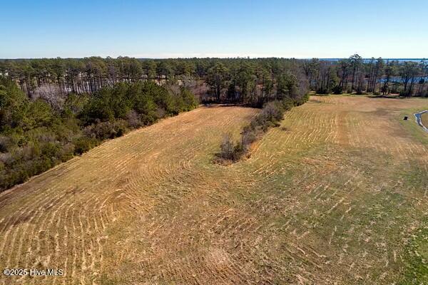 201 Battalina Lane Property Photo 3