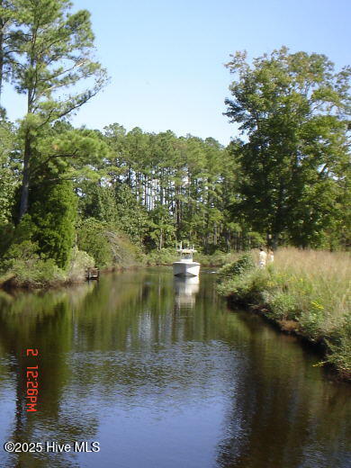 201 Battalina Lane Property Photo 11