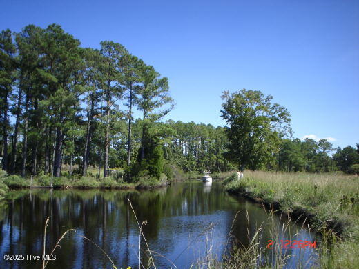 201 Battalina Lane Property Photo 12