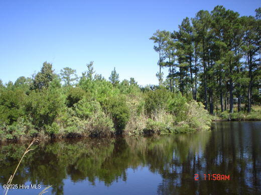 201 Battalina Lane Property Photo 14