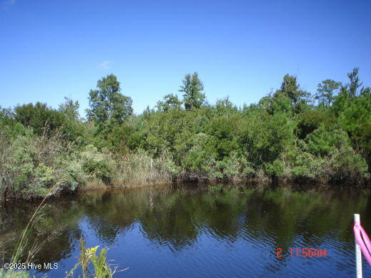 201 Battalina Lane Property Photo 15