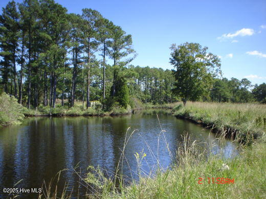 201 Battalina Lane Property Photo 16