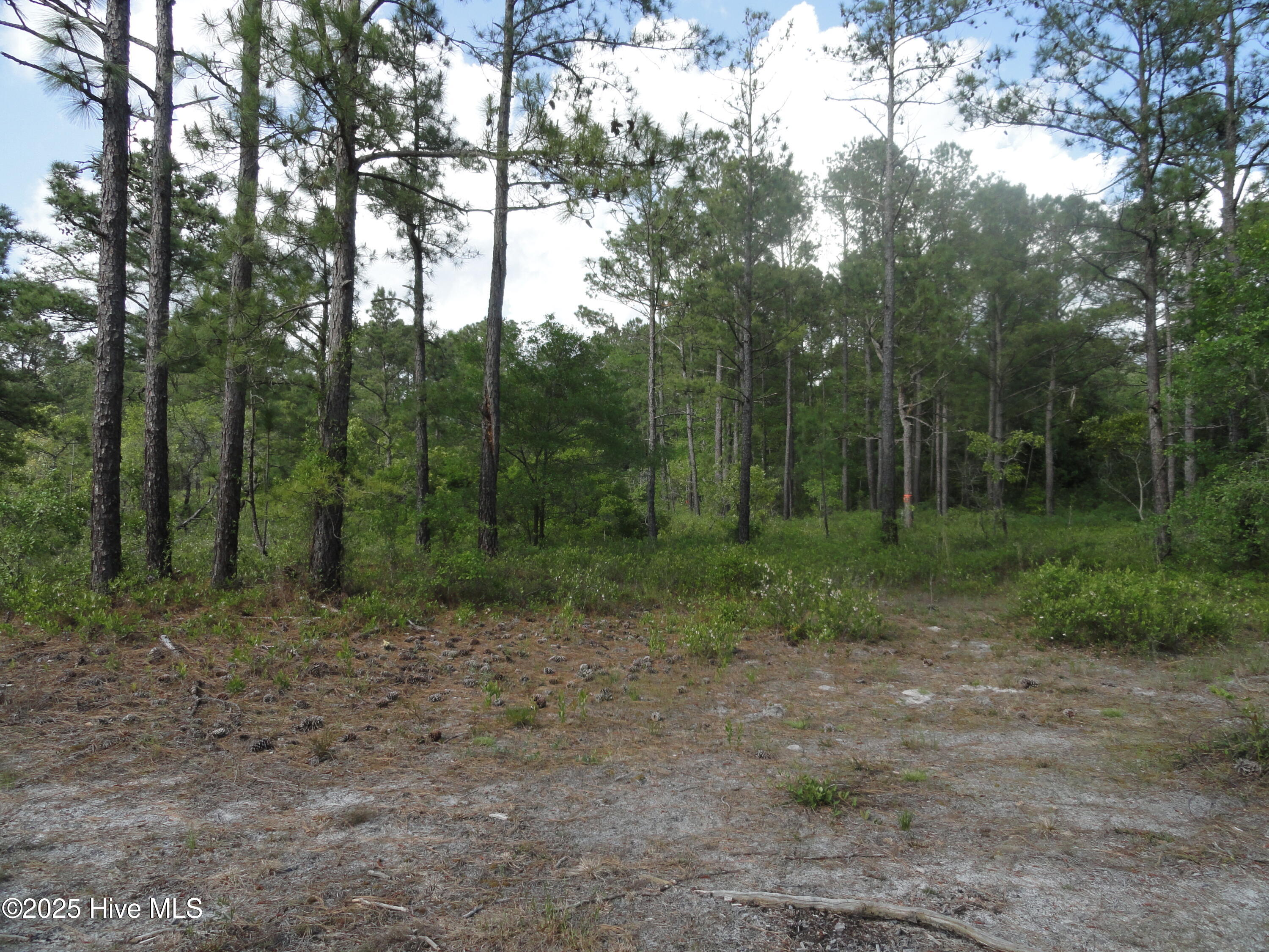 Burgaw Real Estate Listings Main Image