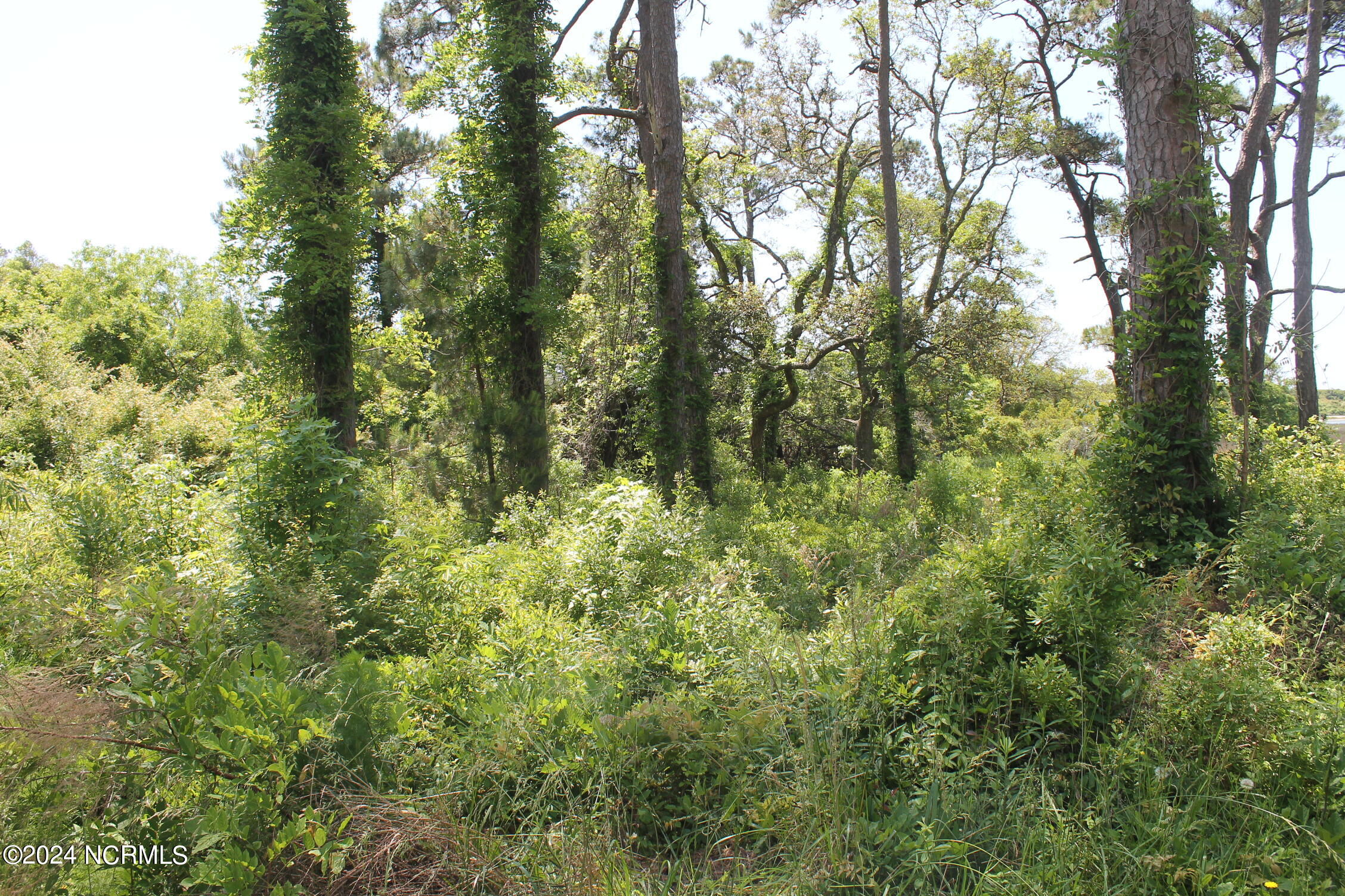 4143 Harrison Road Property Photo 3