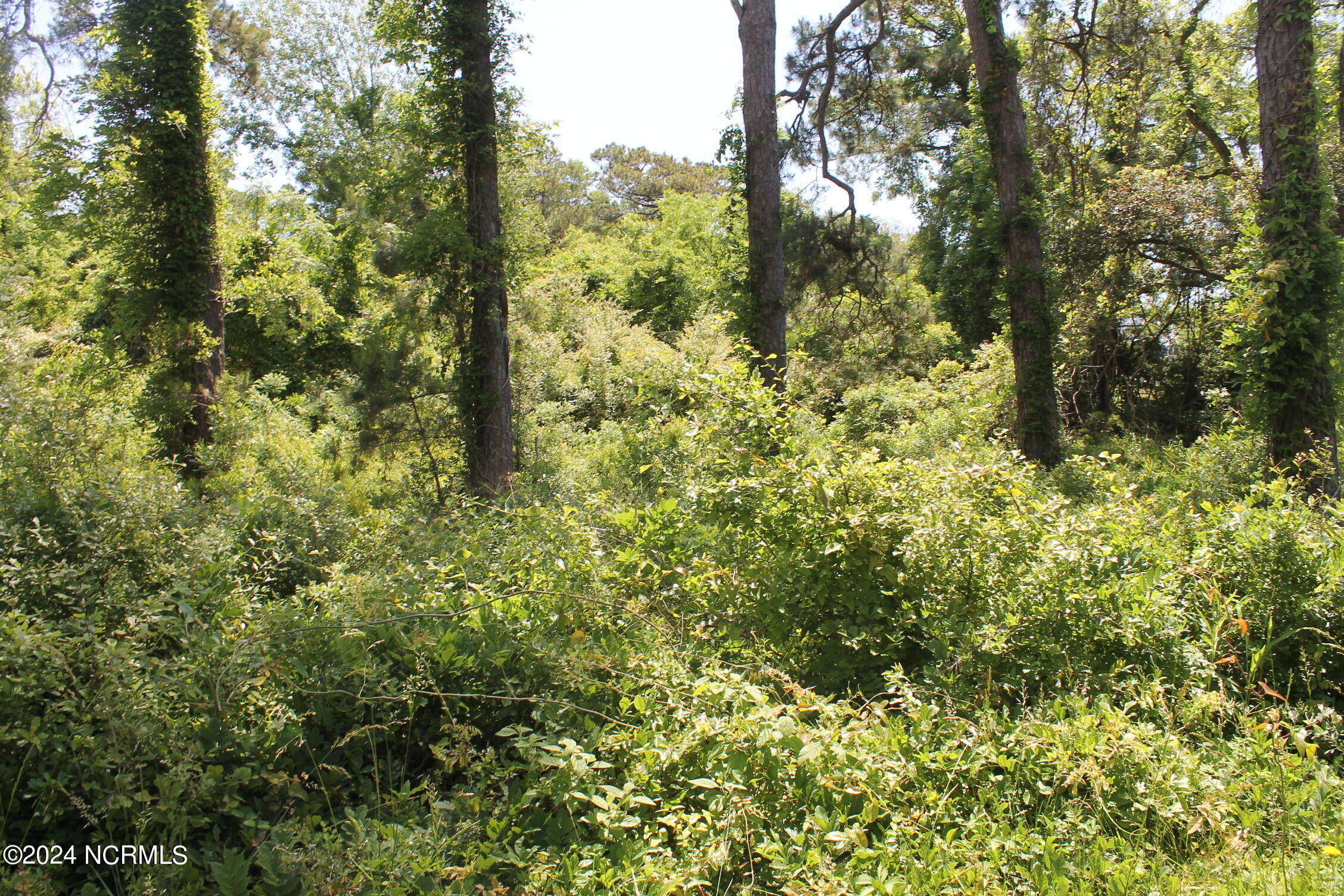 4143 Harrison Road Property Photo 4