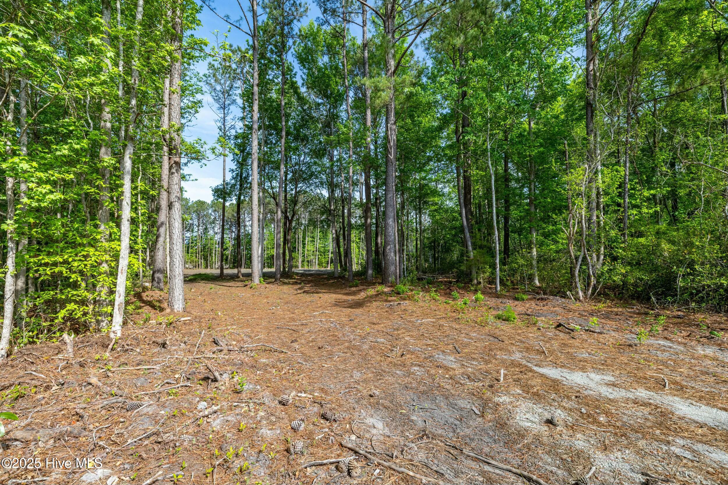 216 Meadow Lane Property Photo
