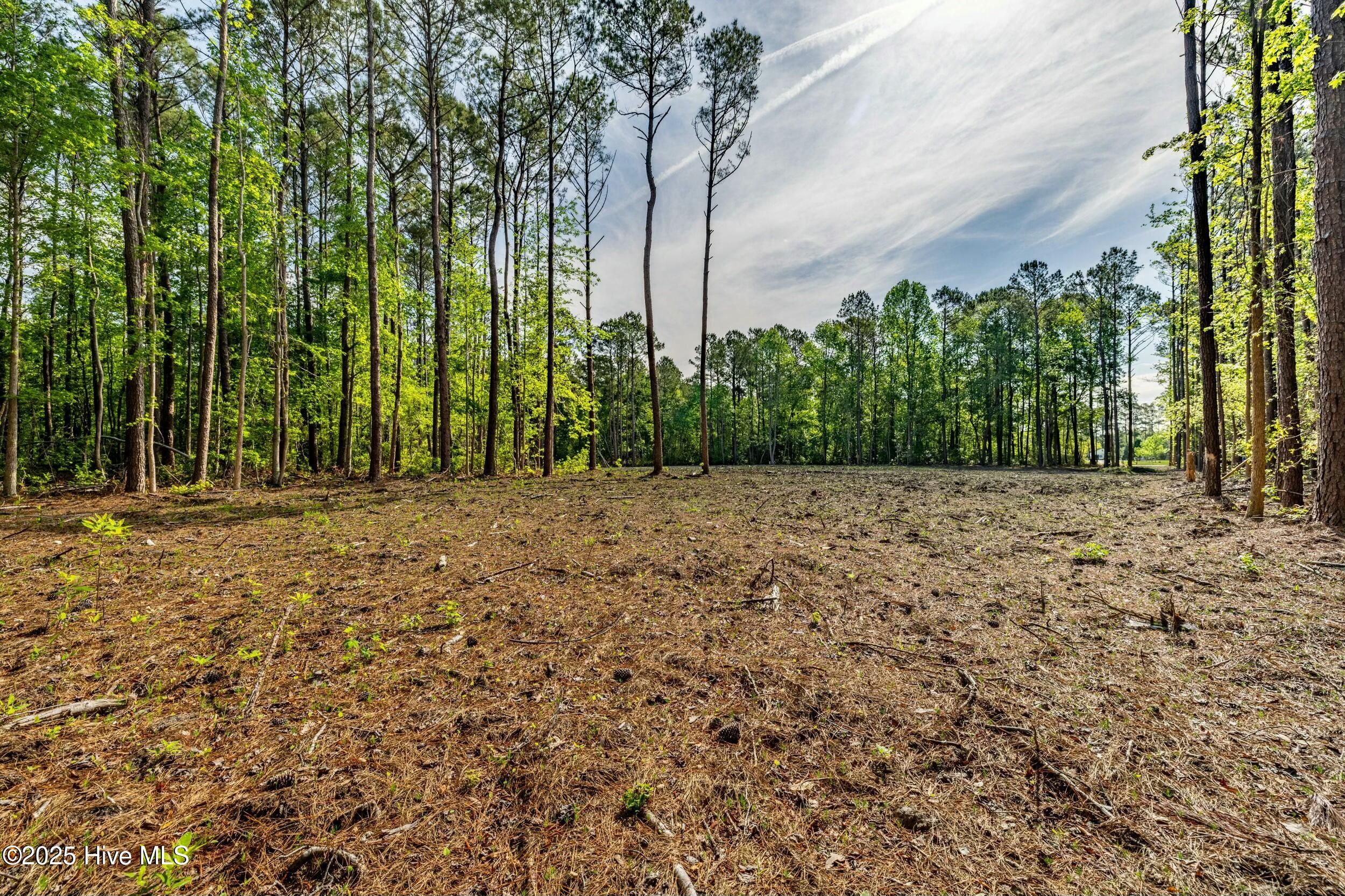 216 Meadow Lane Property Photo 3