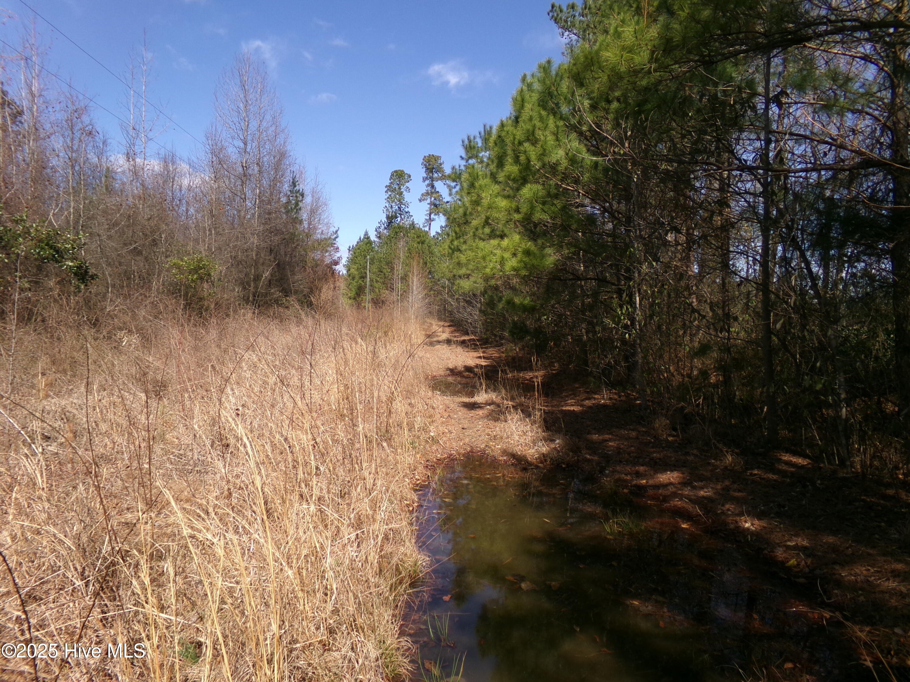 4766 Old Wire Road Property Photo