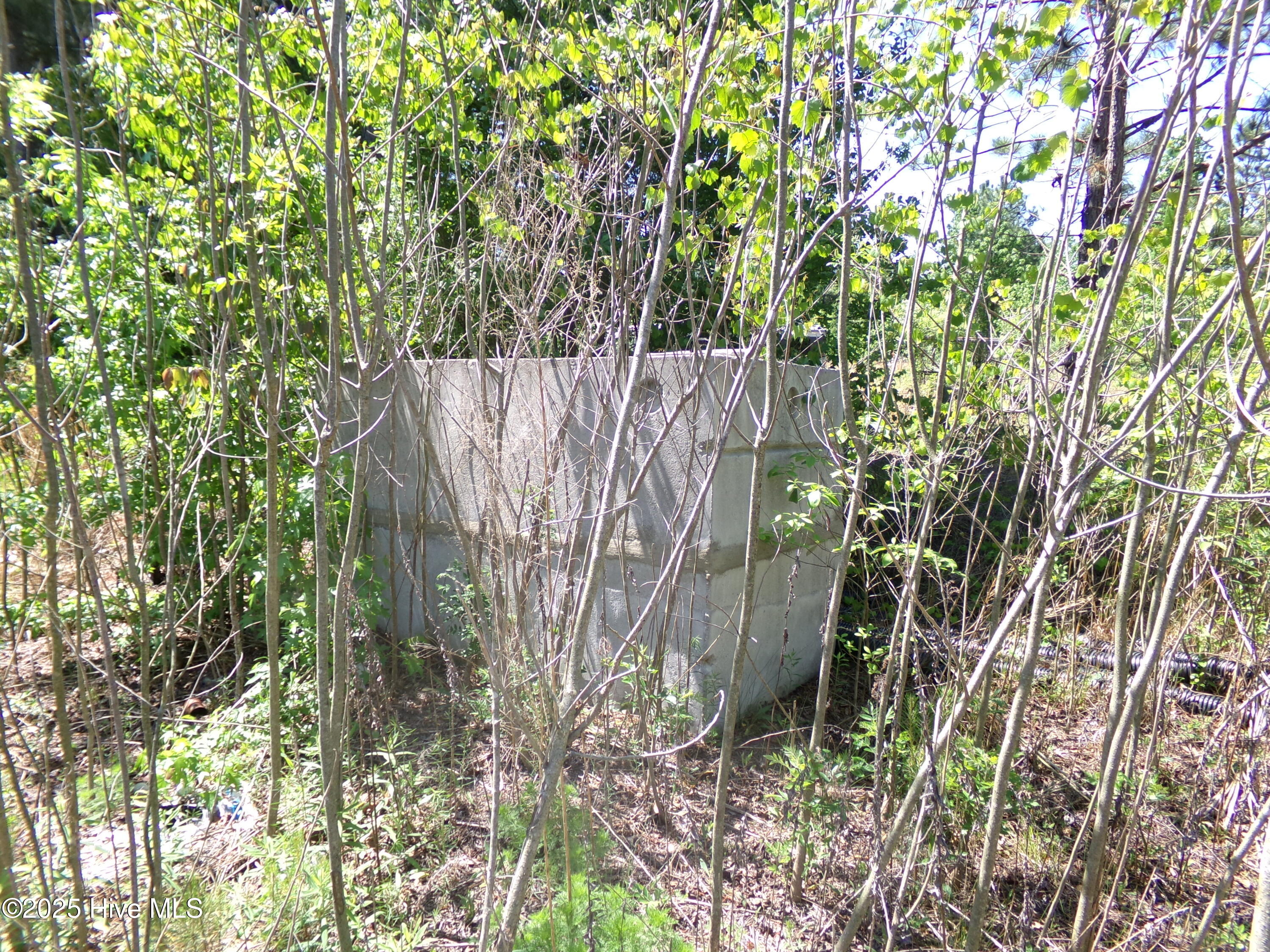 4766 Old Wire Road Property Photo 13