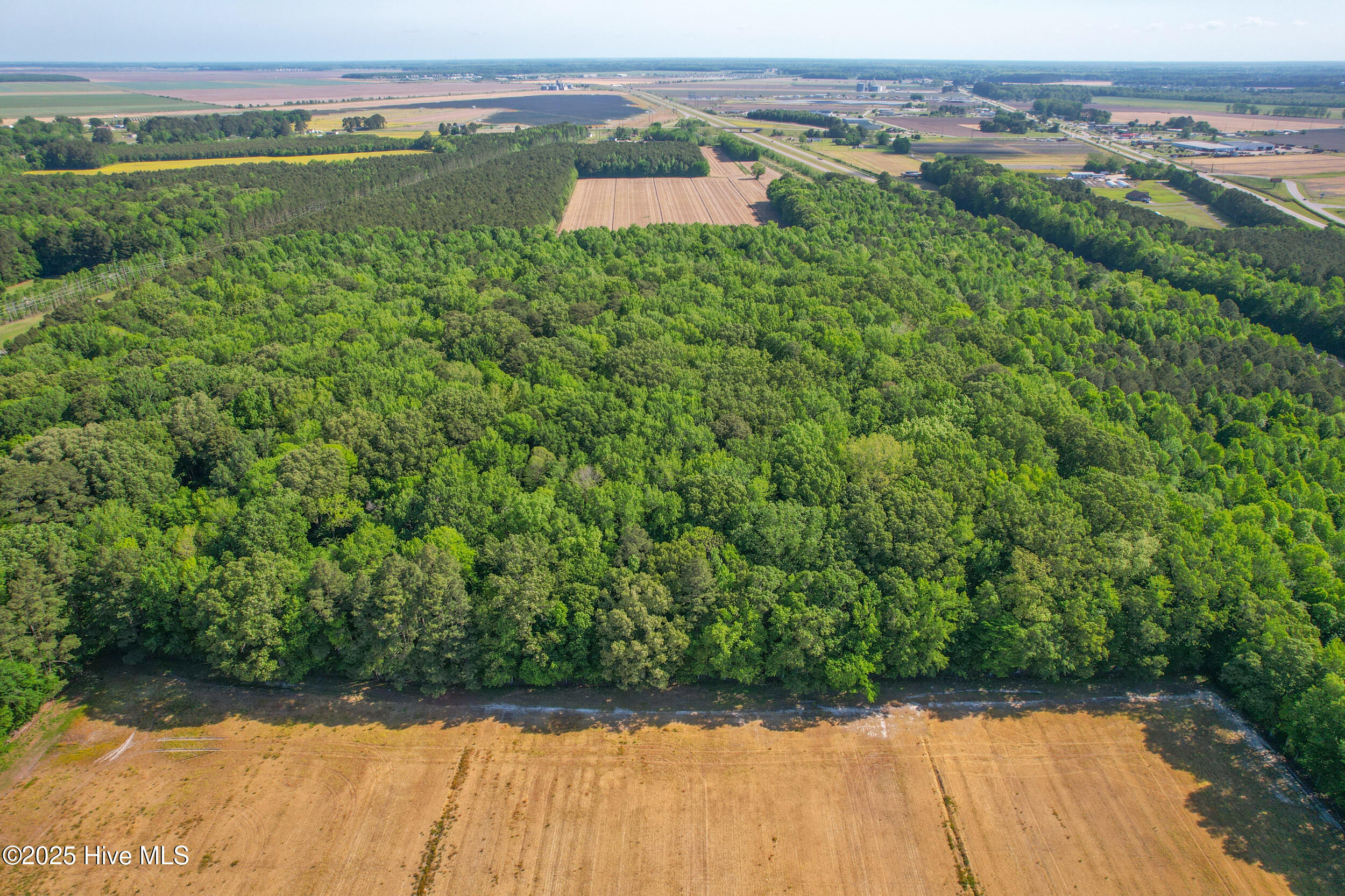 00000 Hall's Creek Road Property Photo 8