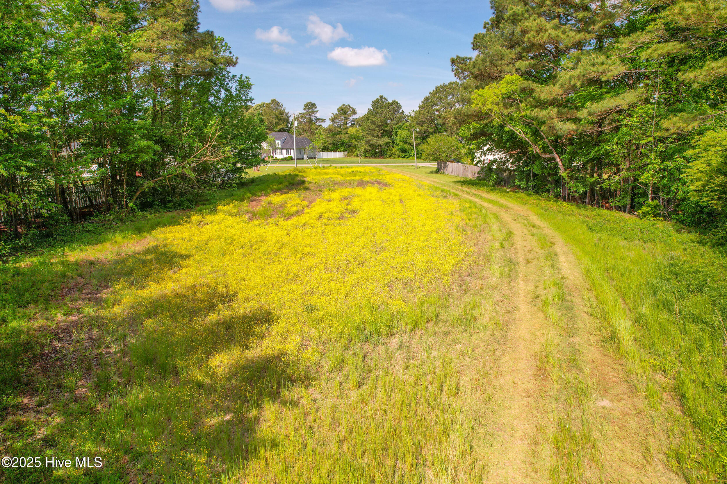 00000 Hall's Creek Road Property Photo 13