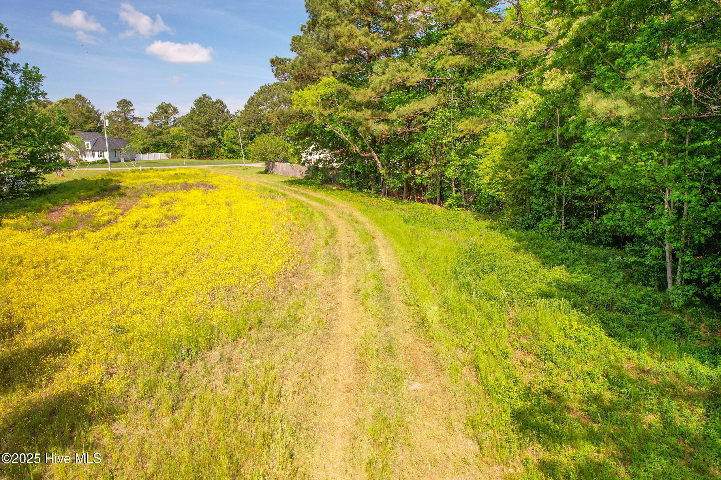 00000 Hall's Creek Road Property Photo 14