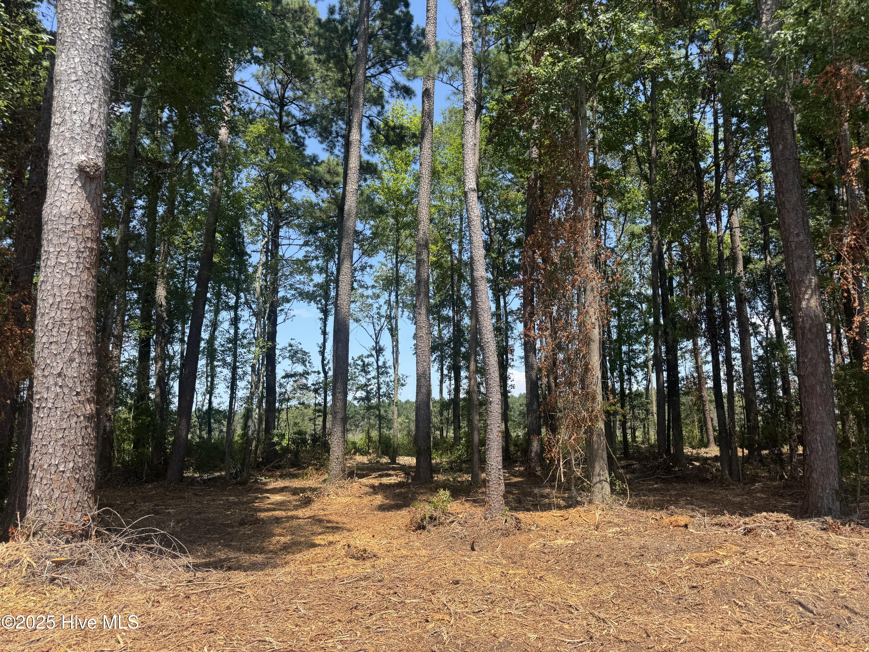 4102-001 Near 4102 Swamp Fox Property Photo 1