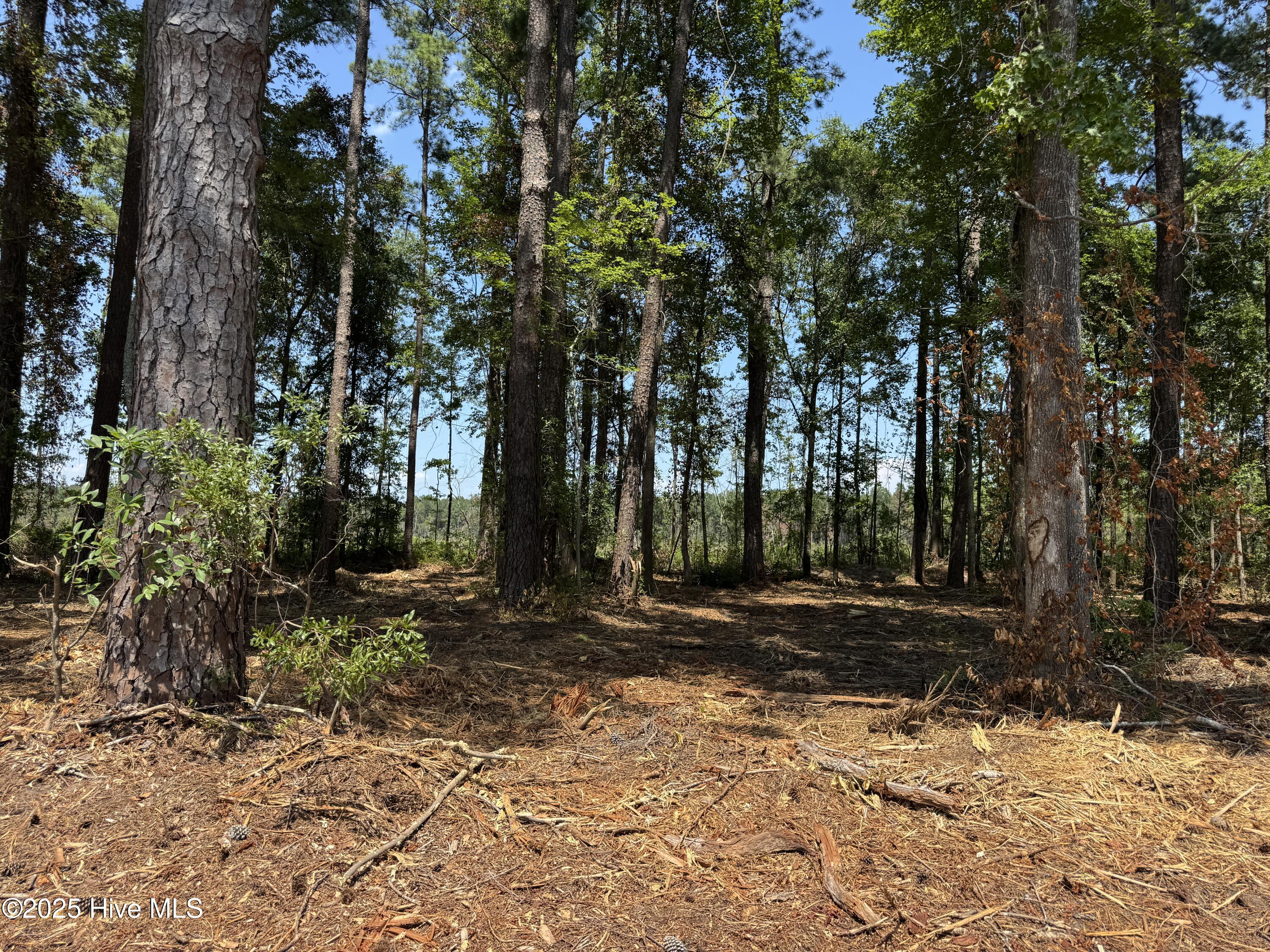 4102-001 Near 4102 Swamp Fox Property Photo 1