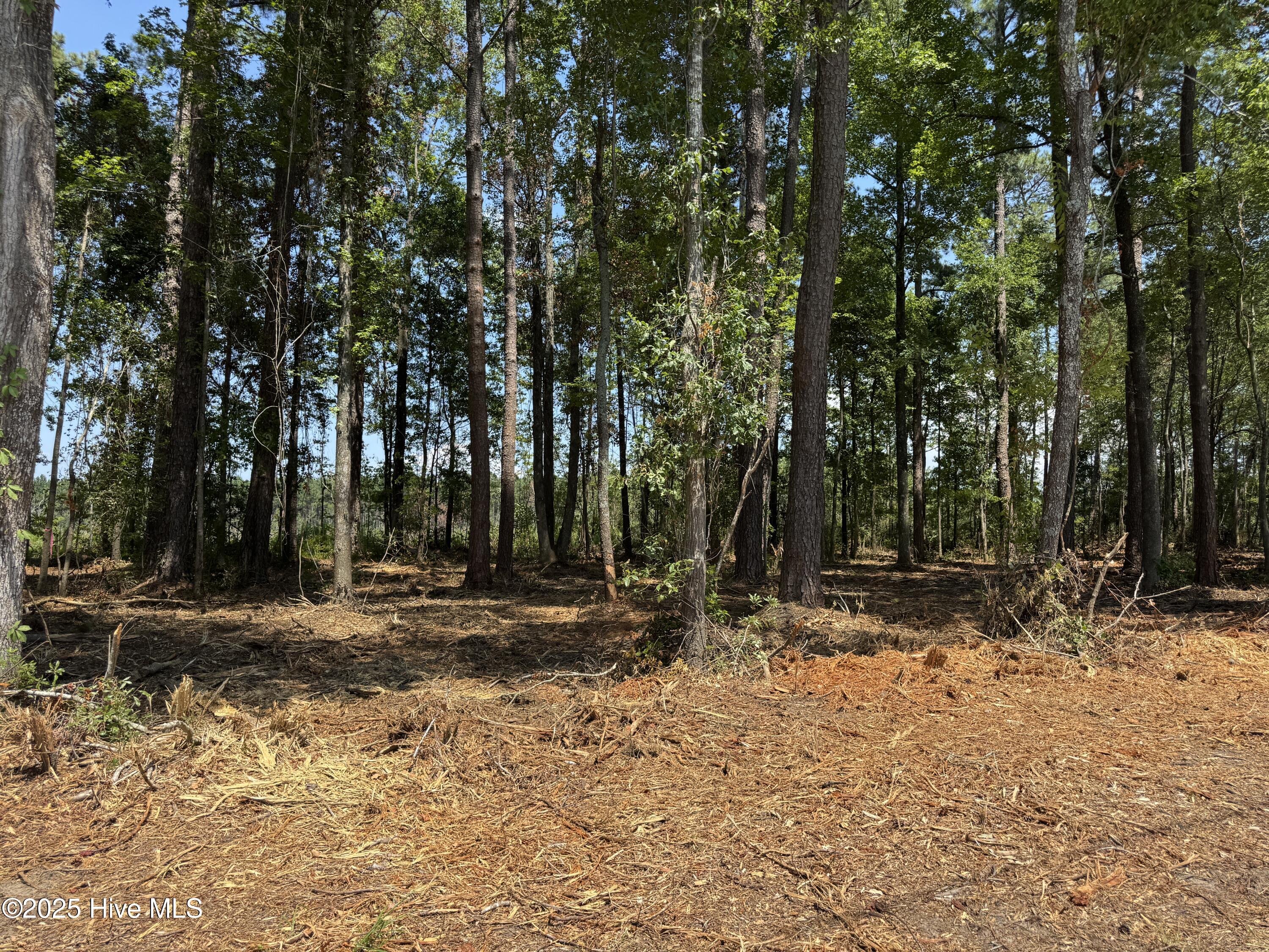 4102-001 Near 4102 Swamp Fox Property Photo 4