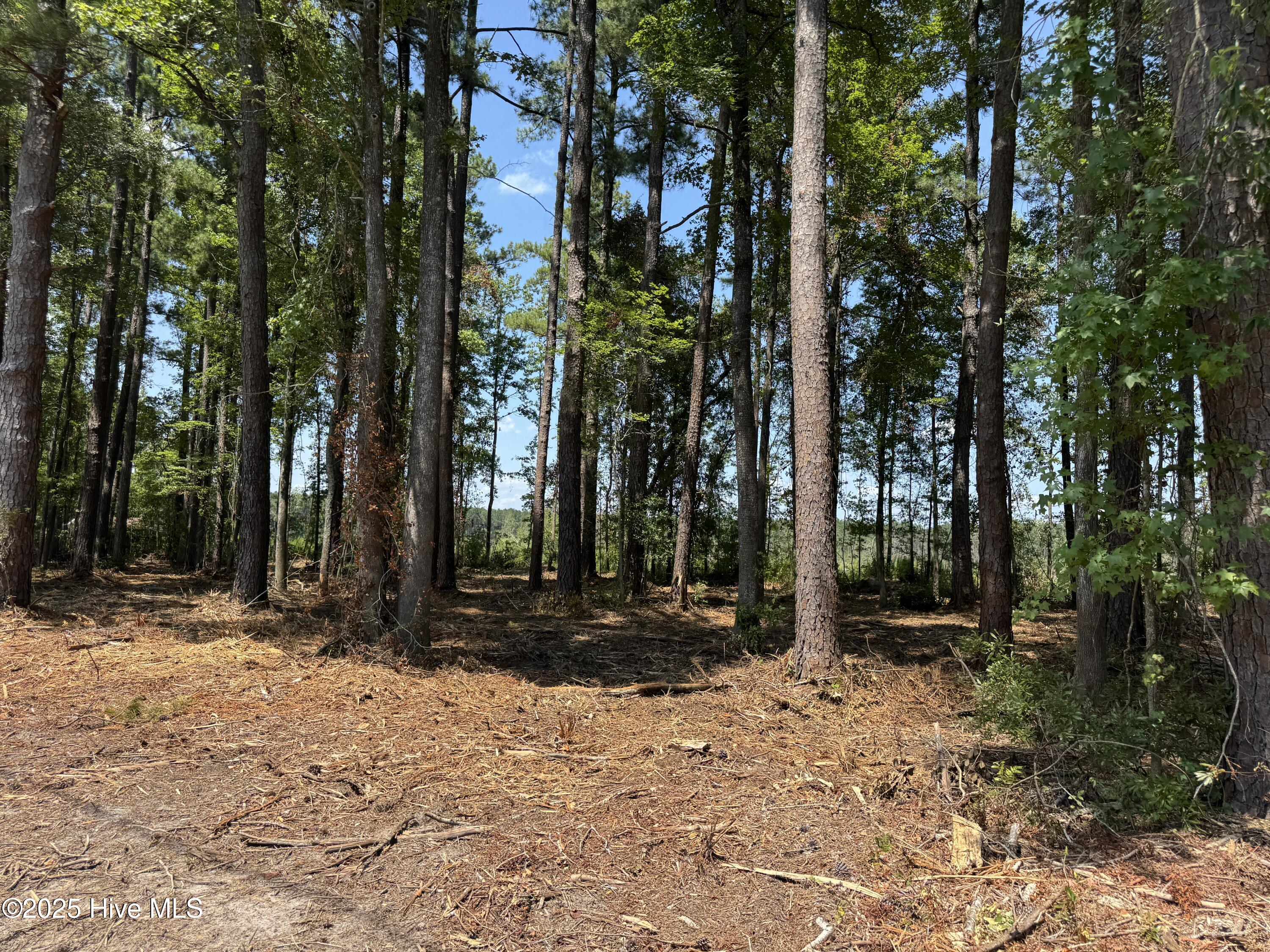 4102-001 Near 4102 Swamp Fox Property Photo 6