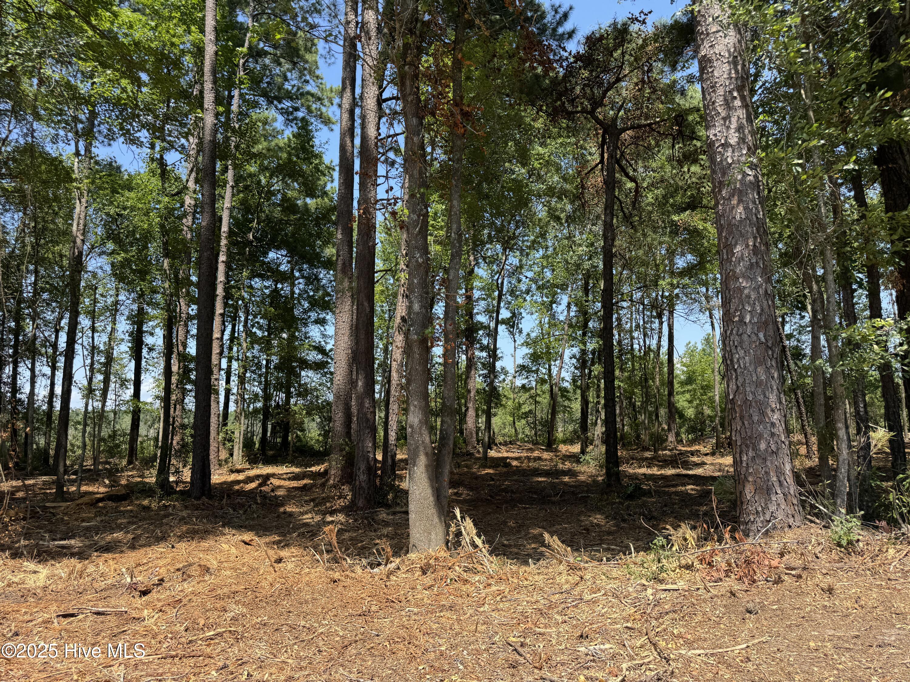 4102-001 Near 4102 Swamp Fox Property Photo 1