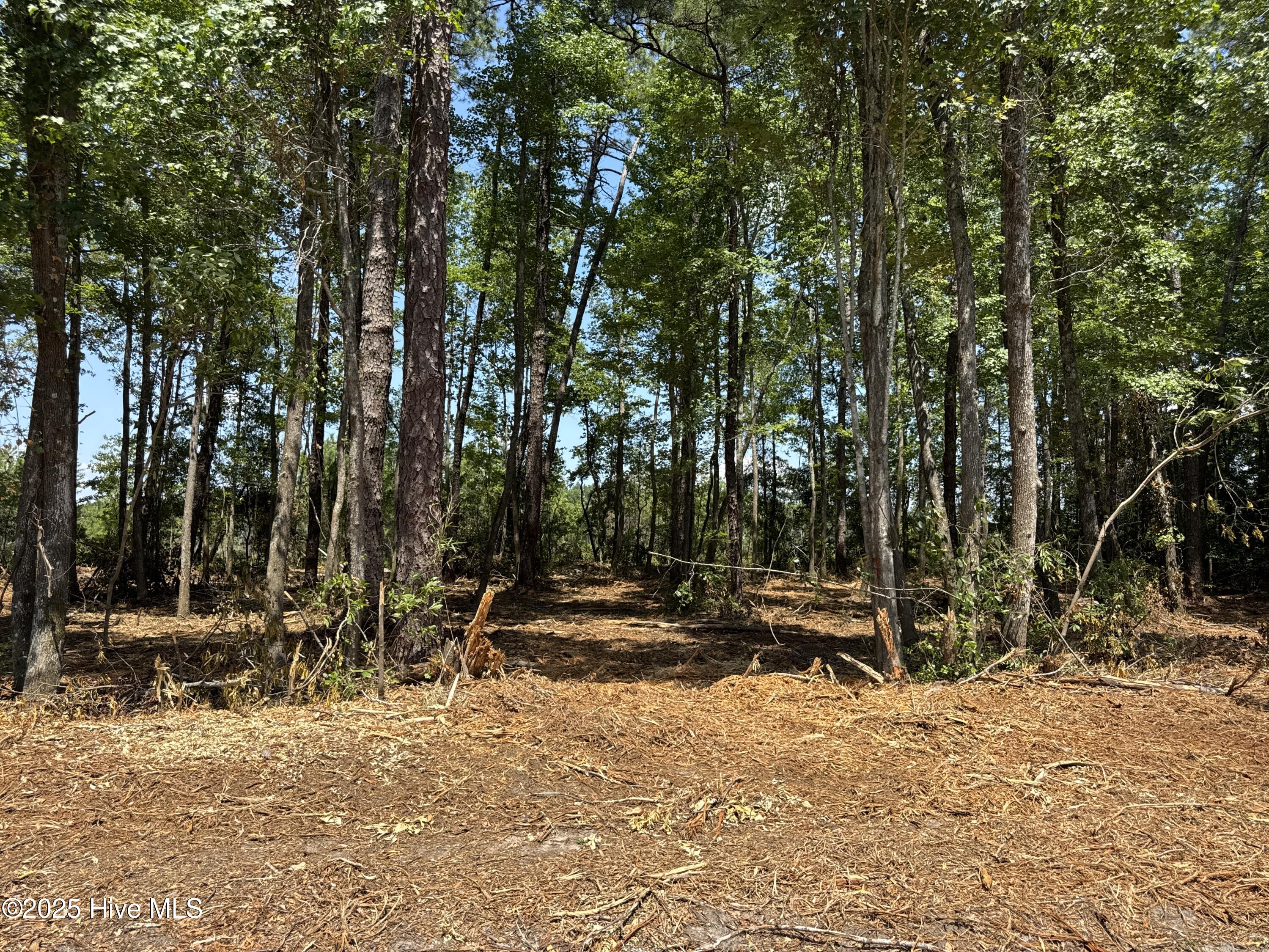 4102-001 Near 4102 Swamp Fox Property Photo 1