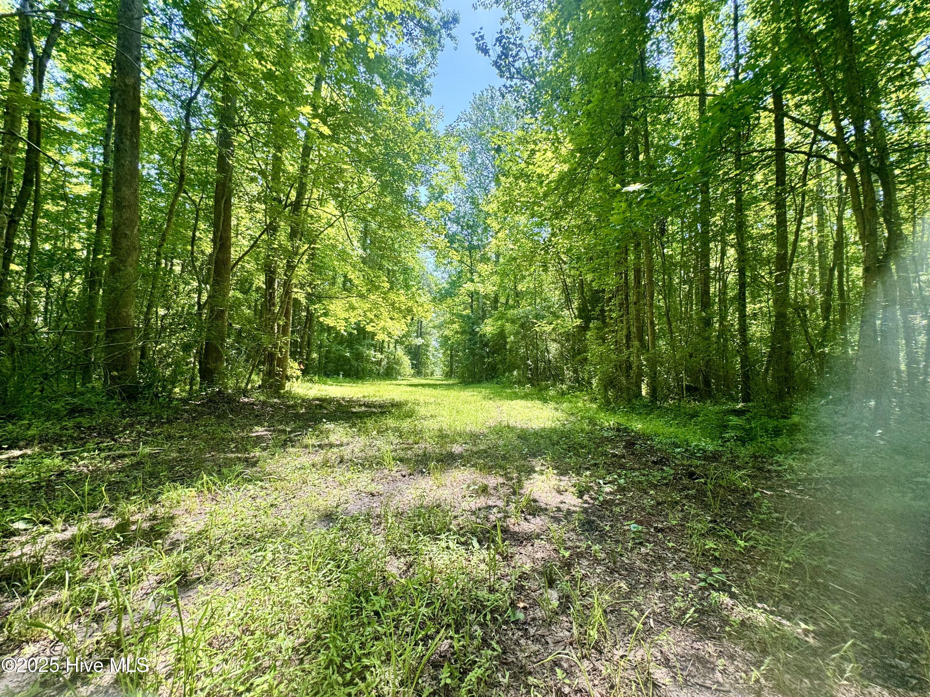 0 Nc 304 Highway Property Photo