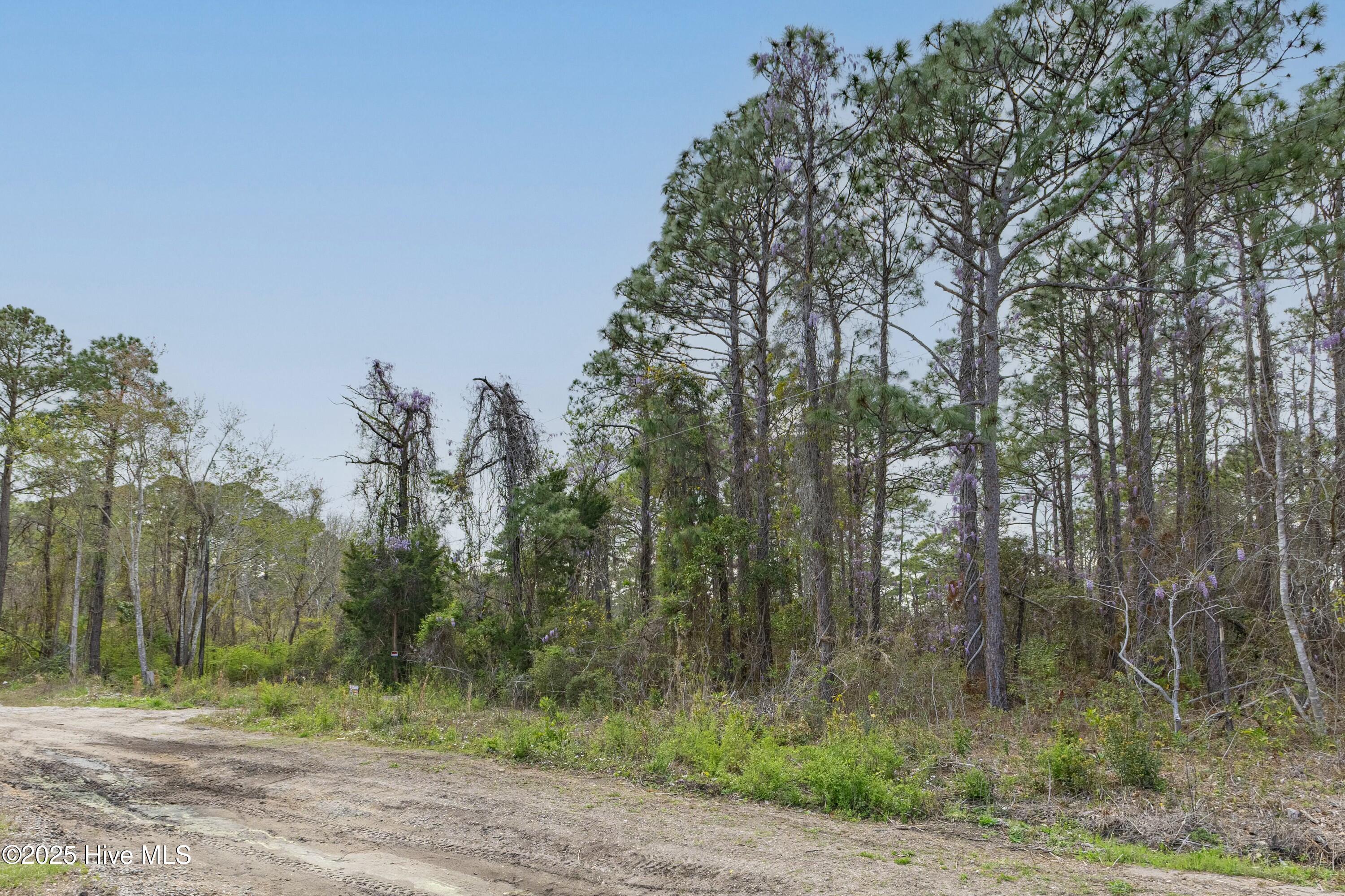 4135 9th Street Property Photo 12