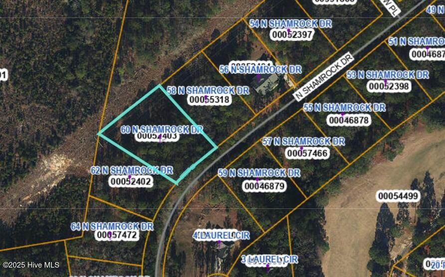 60 N Shamrock Drive Property Photo