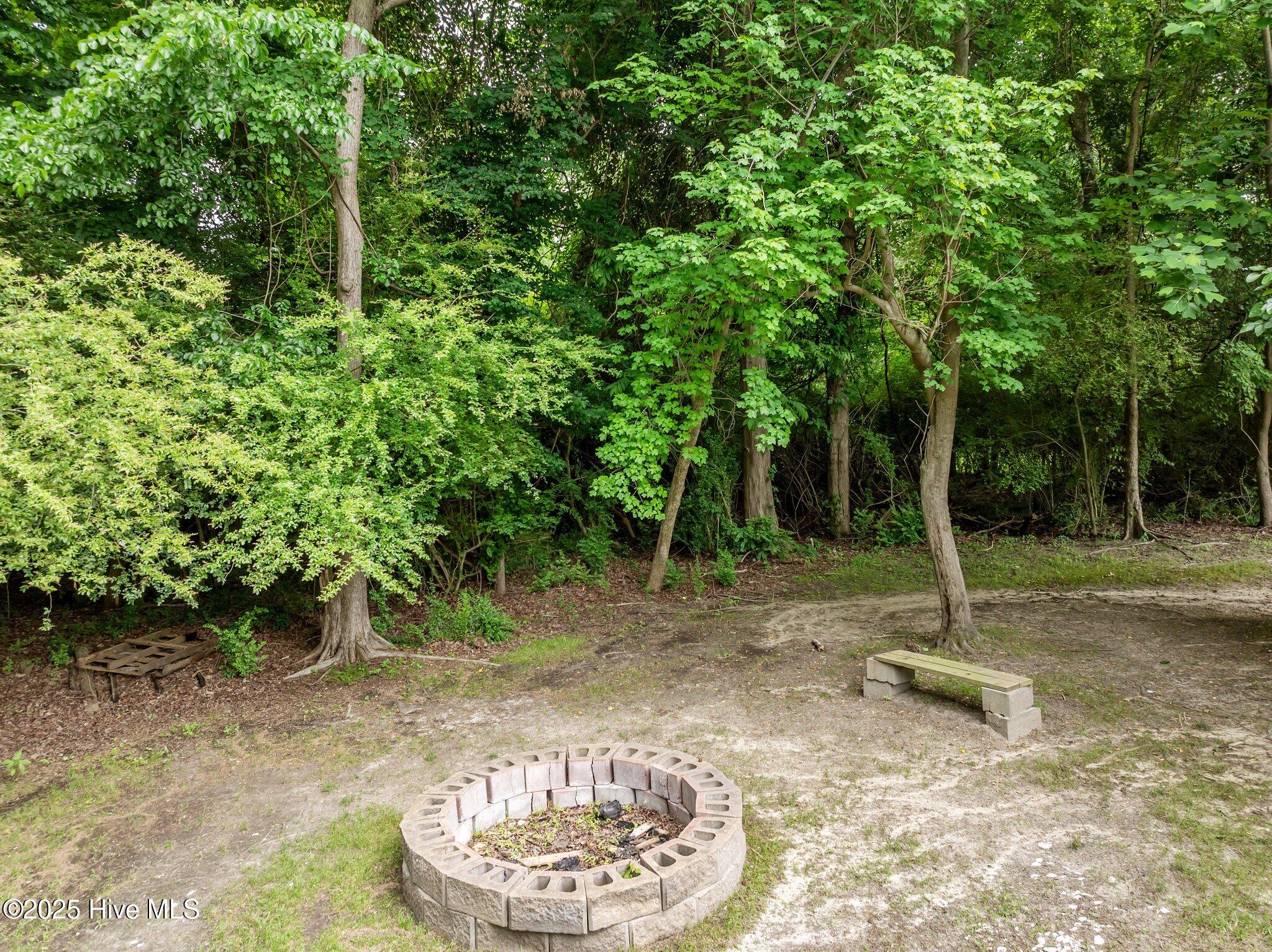 2881 Elizabeth Edwards Court Property Photo 34