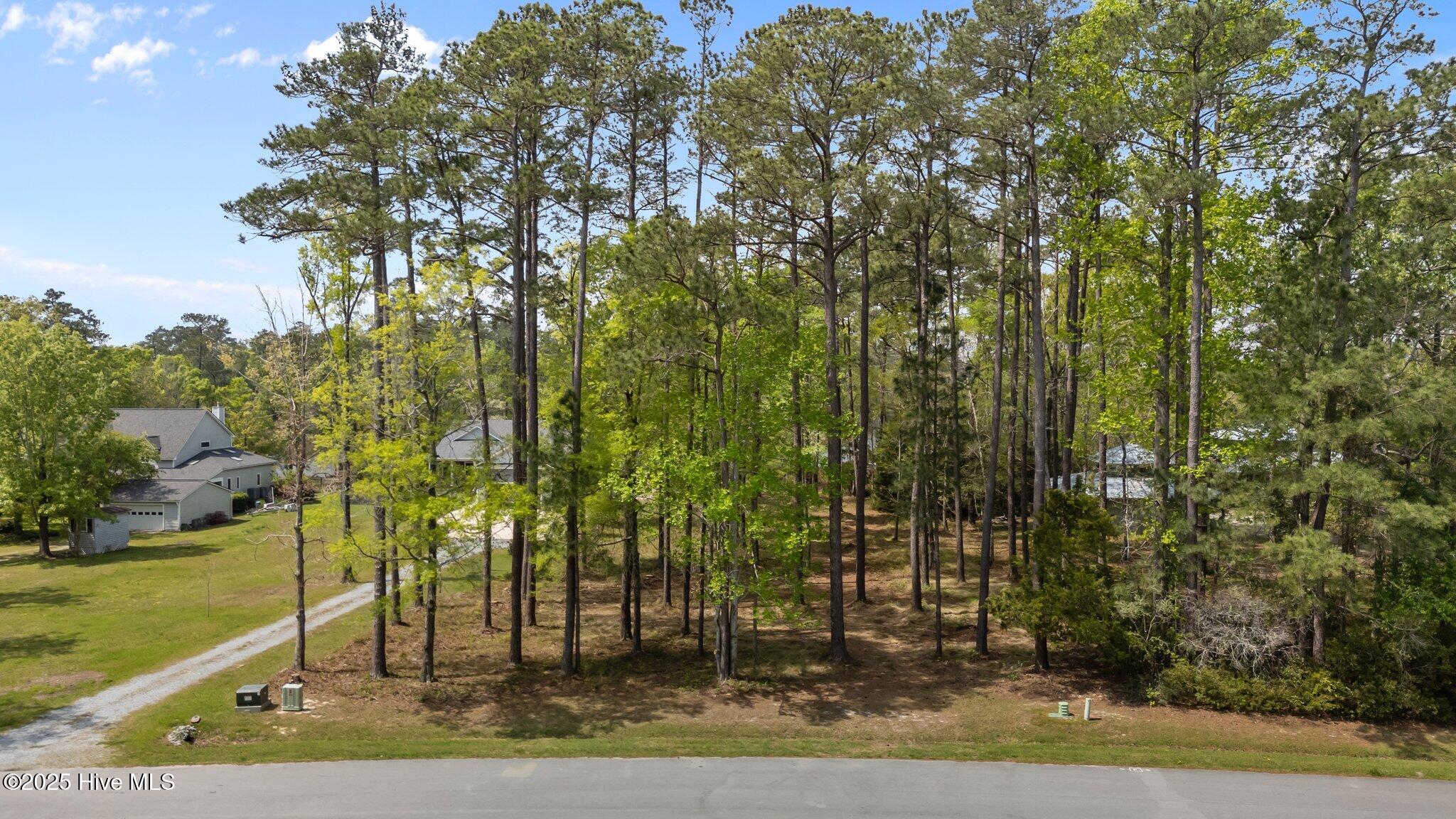 124 Peninsula Drive Property Photo 5