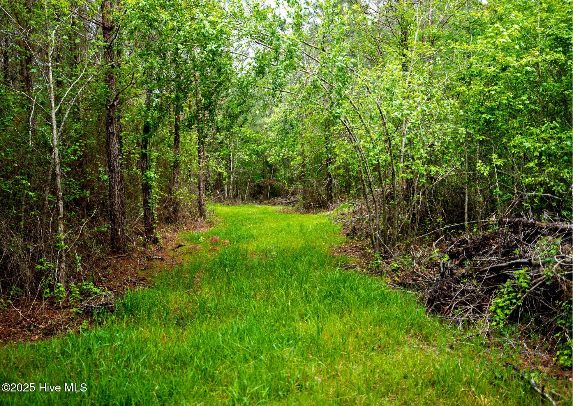 0 Maules Point Road Property Photo