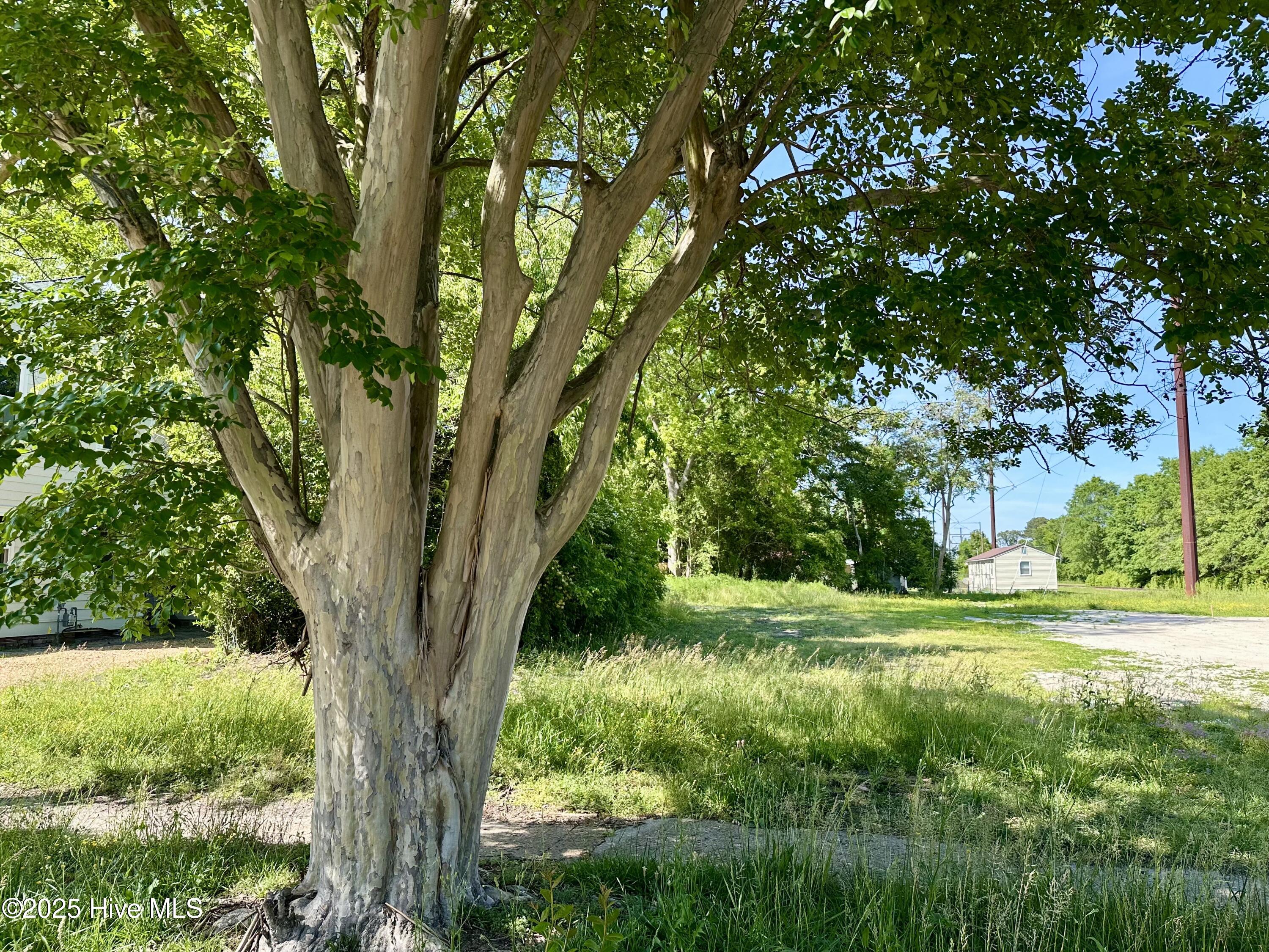 315 E Church Street Property Photo