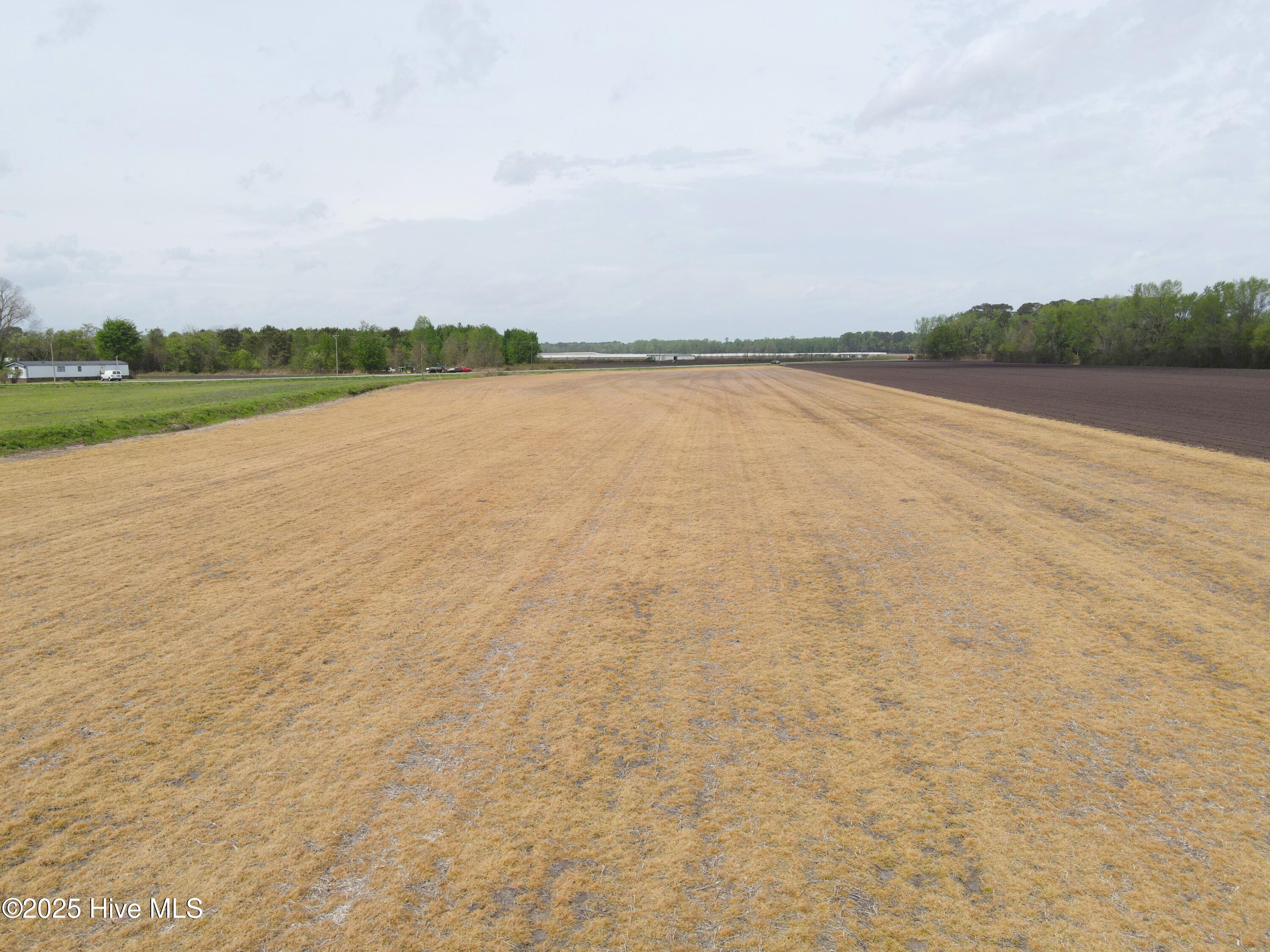 Lot #2 Albert Sugg Road Property Photo 7