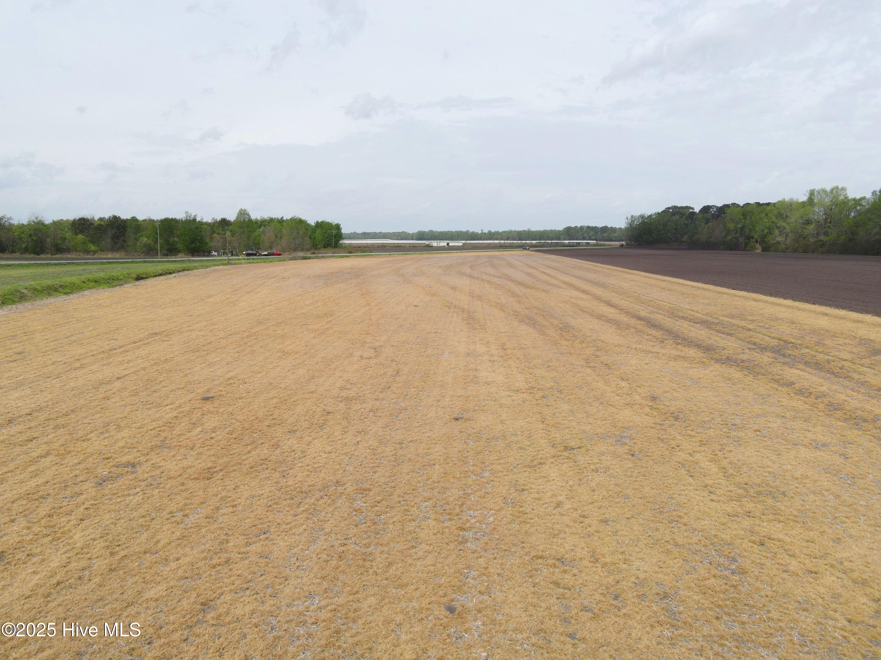 Lot #2 Albert Sugg Road Property Photo 10