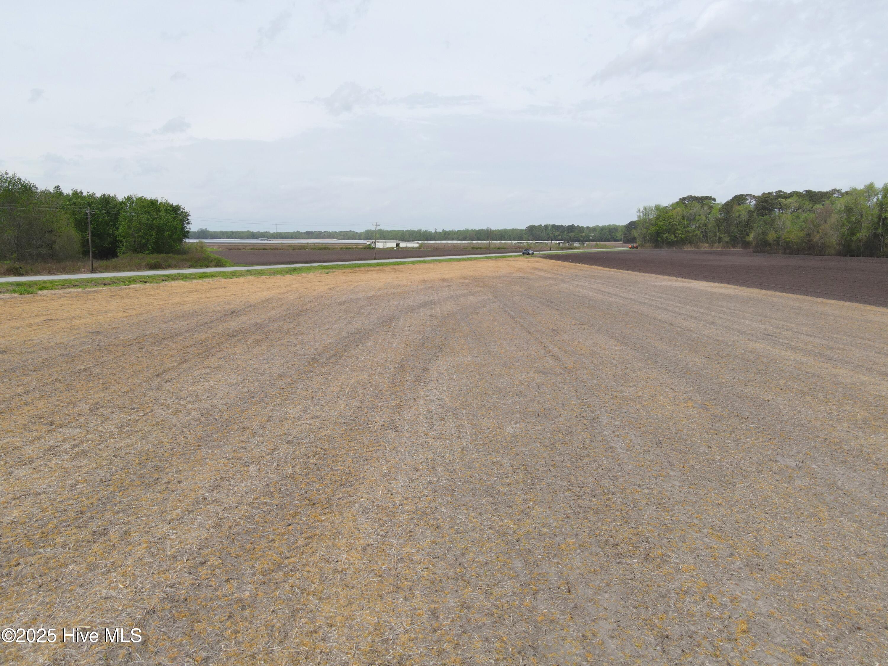 Lot #2 Albert Sugg Road Property Photo 11