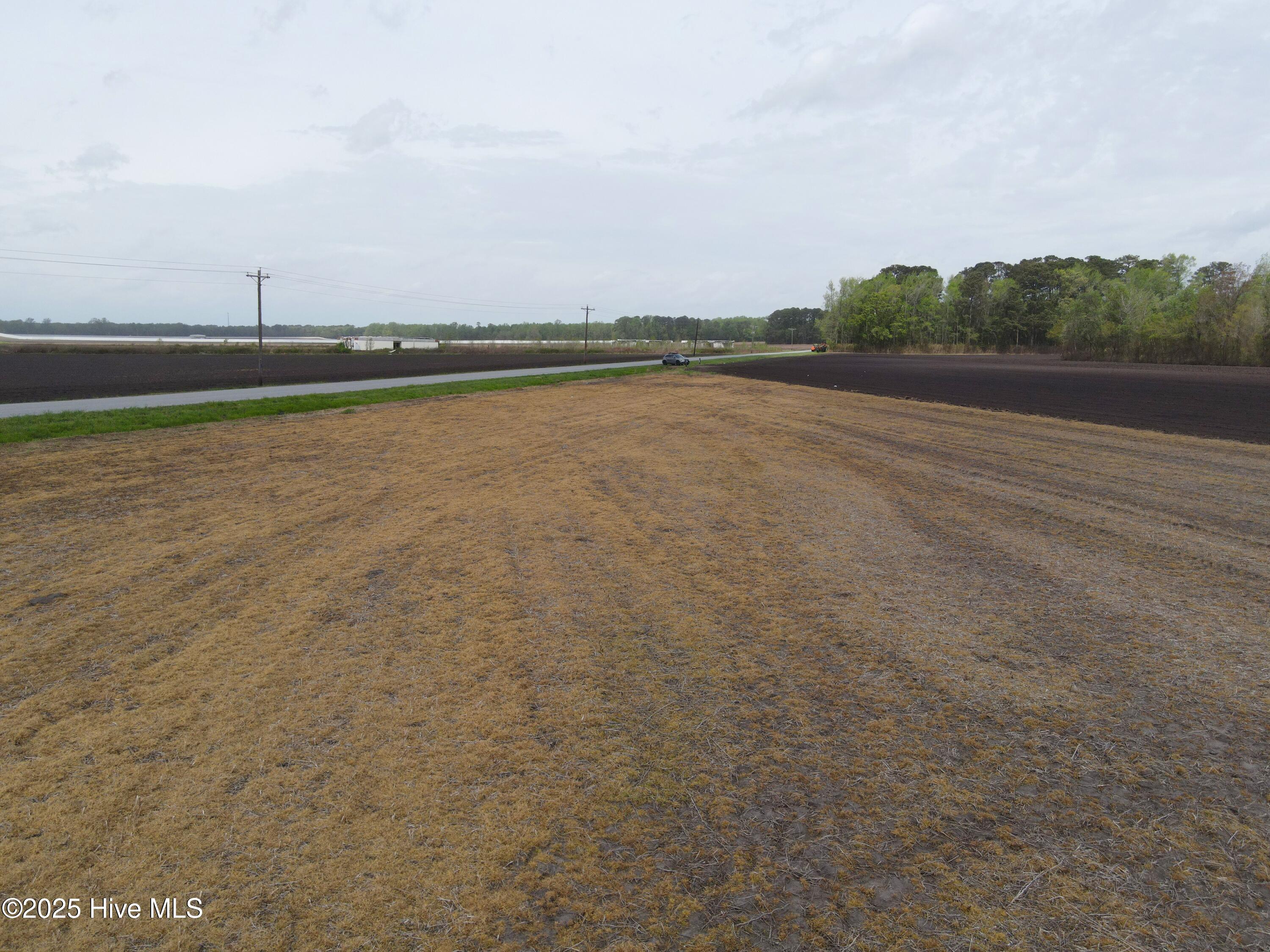 Lot #2 Albert Sugg Road Property Photo 14