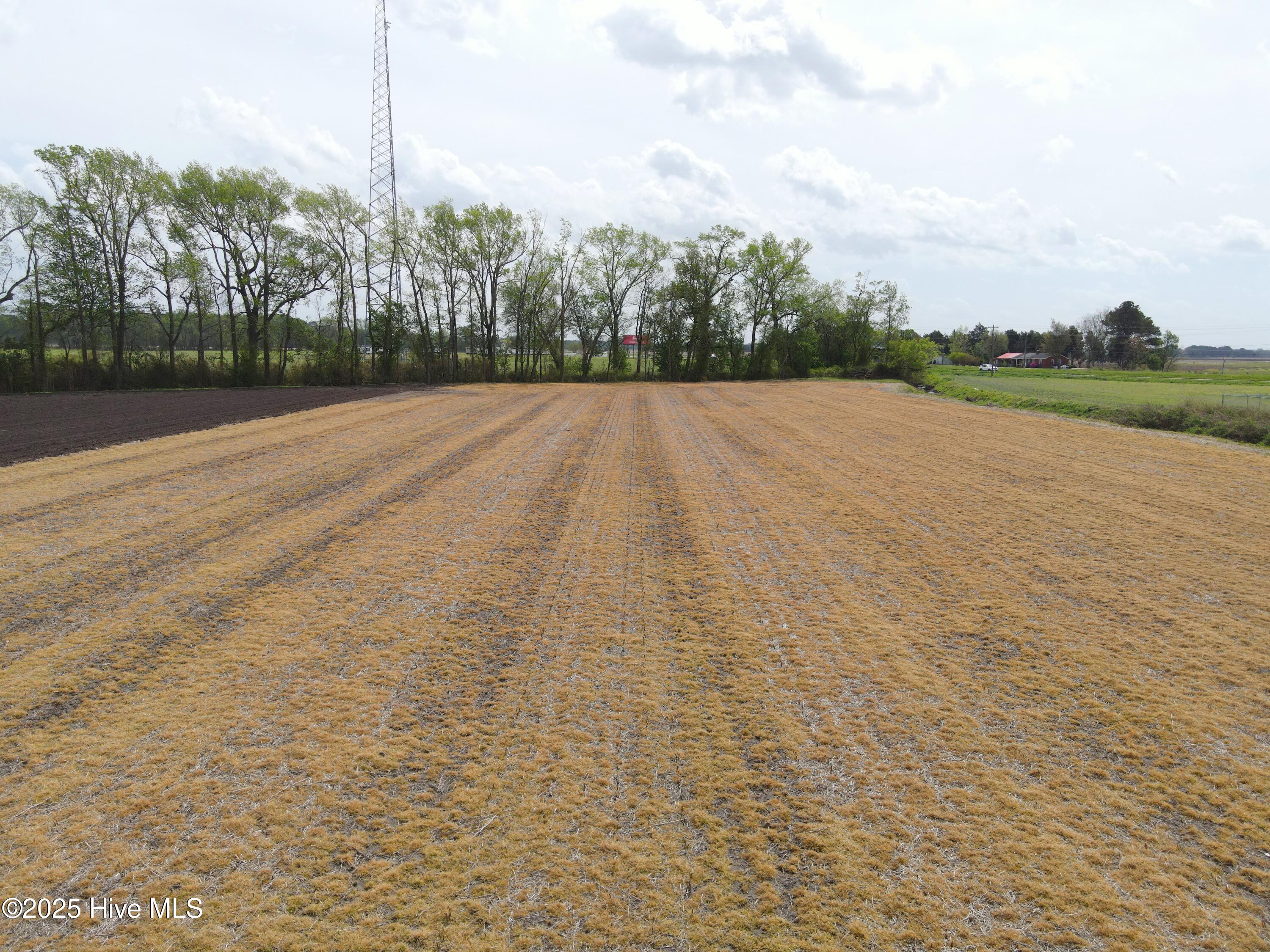 Lot #2 Albert Sugg Road Property Photo 18